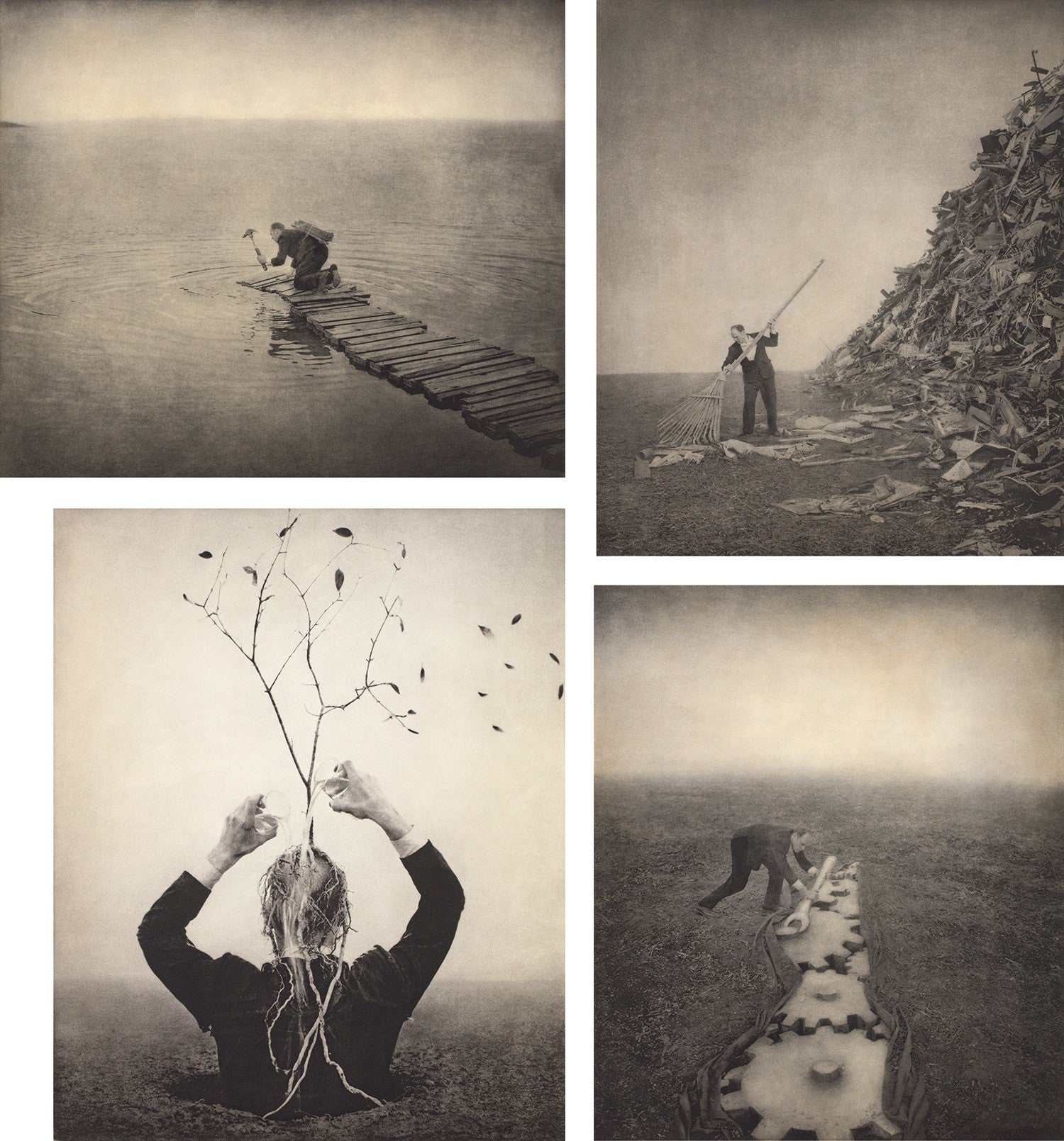 Robert ParkeHarrison and Shana ParkeHarrison Photographs