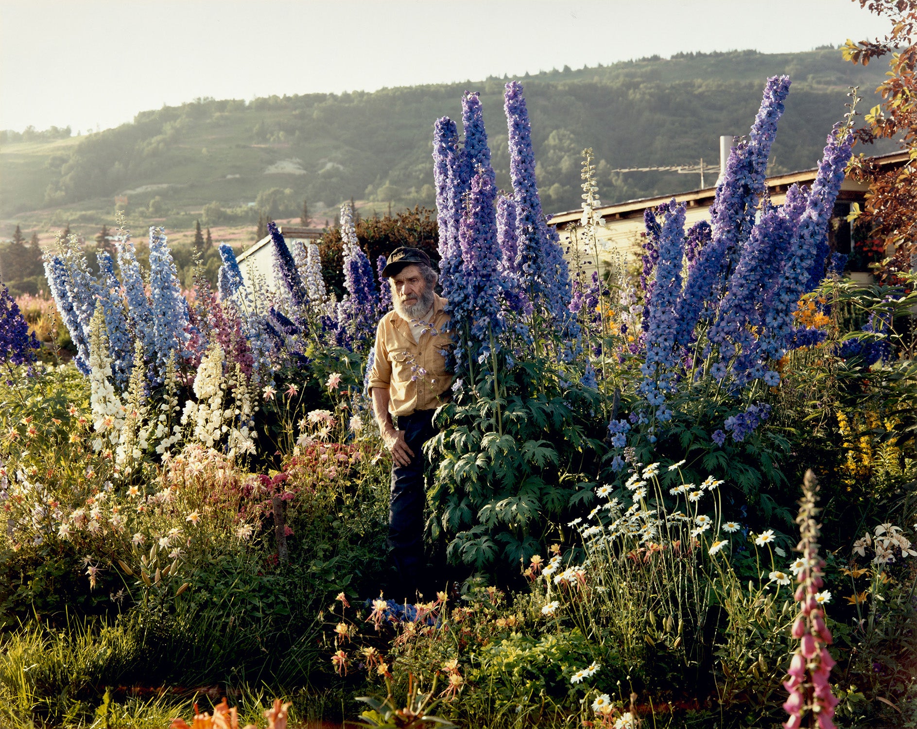 Joel Sternfeld Reframing Beauty: A Private Seattle Collection