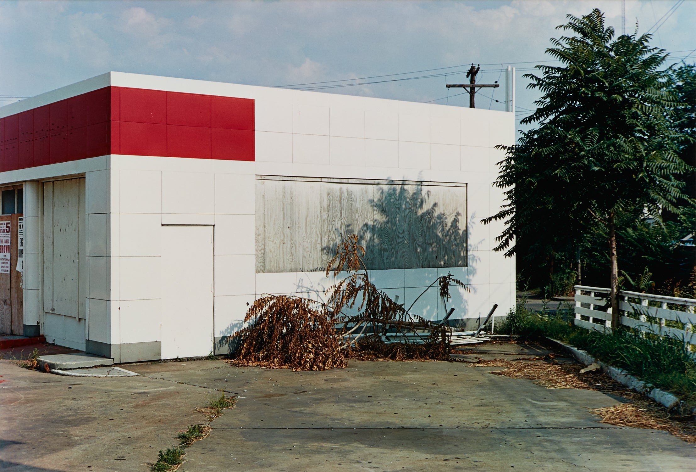 William Eggleston Photographs