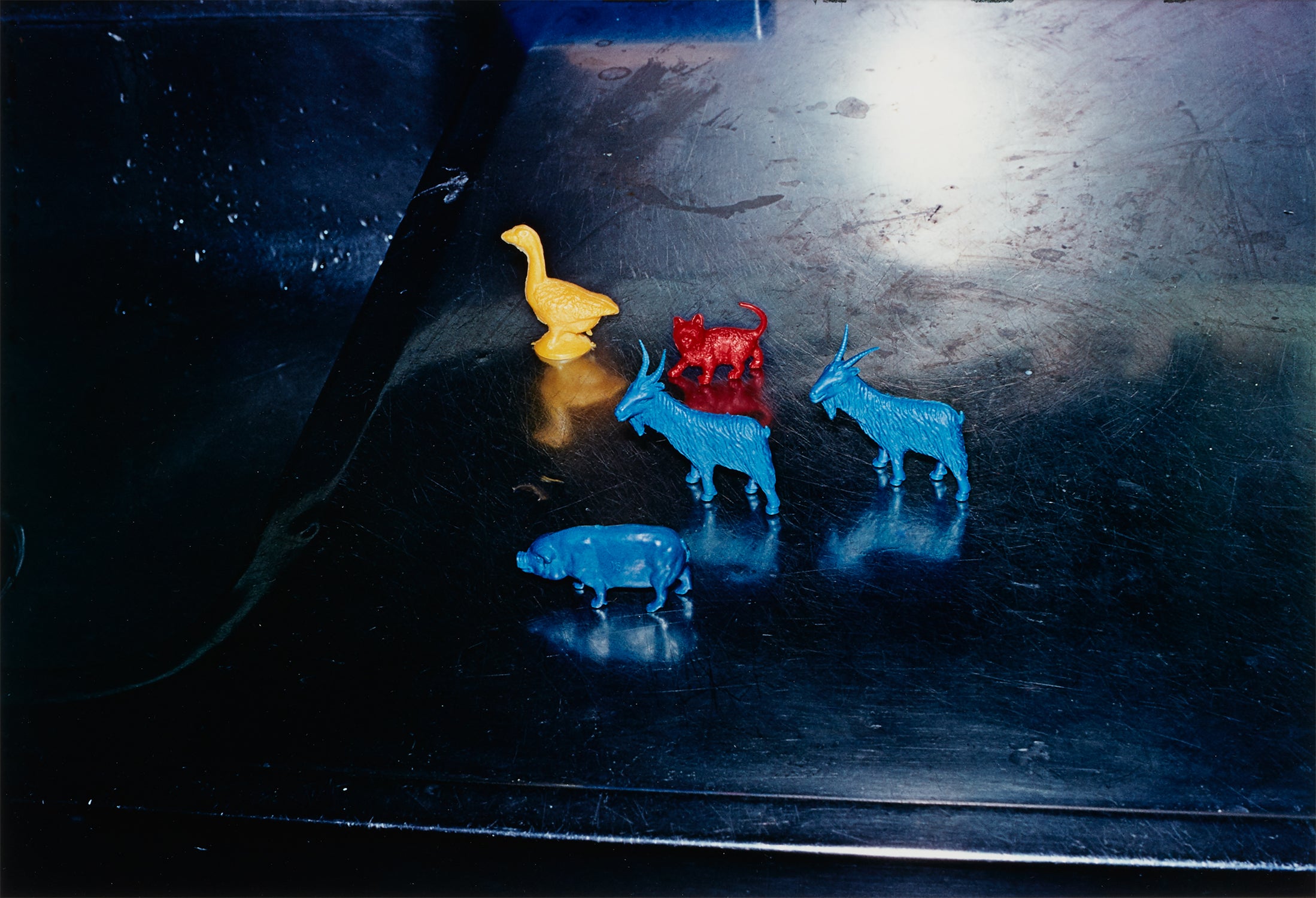 William Eggleston Photographs