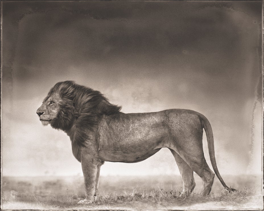 Brought to you by Phillips