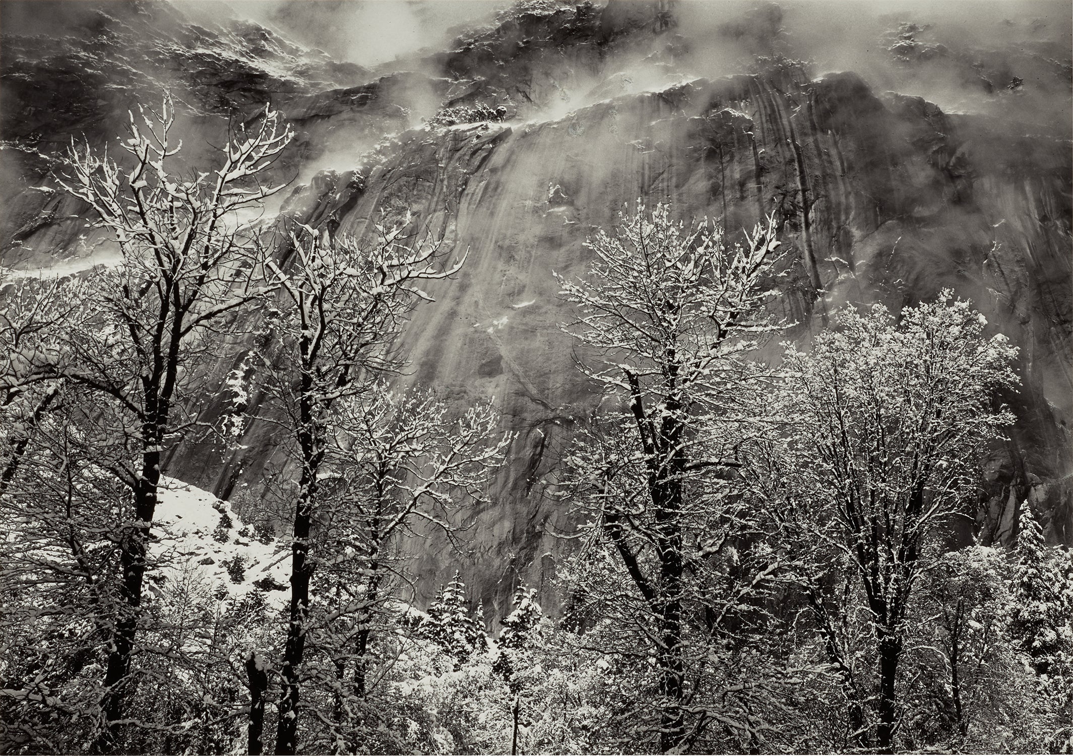 Trees and Cliffs of Eagle Peak, Winter, Yosemite National Park, California
