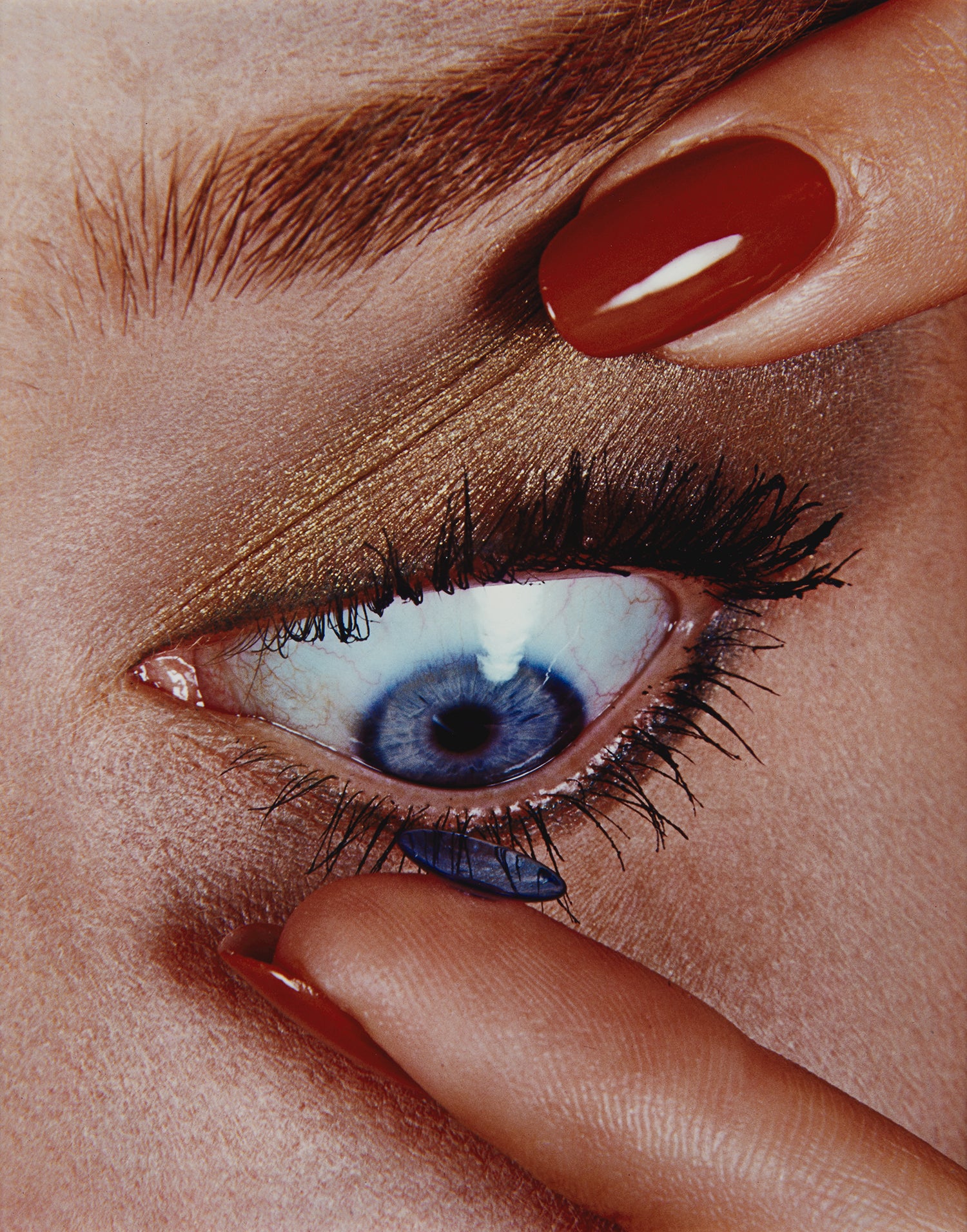 【Irving Penn：Augenblicke】★★大幅に値下げしました Irving Penn: A Career in Photography | Colin WESTERBECK, Irving Penn