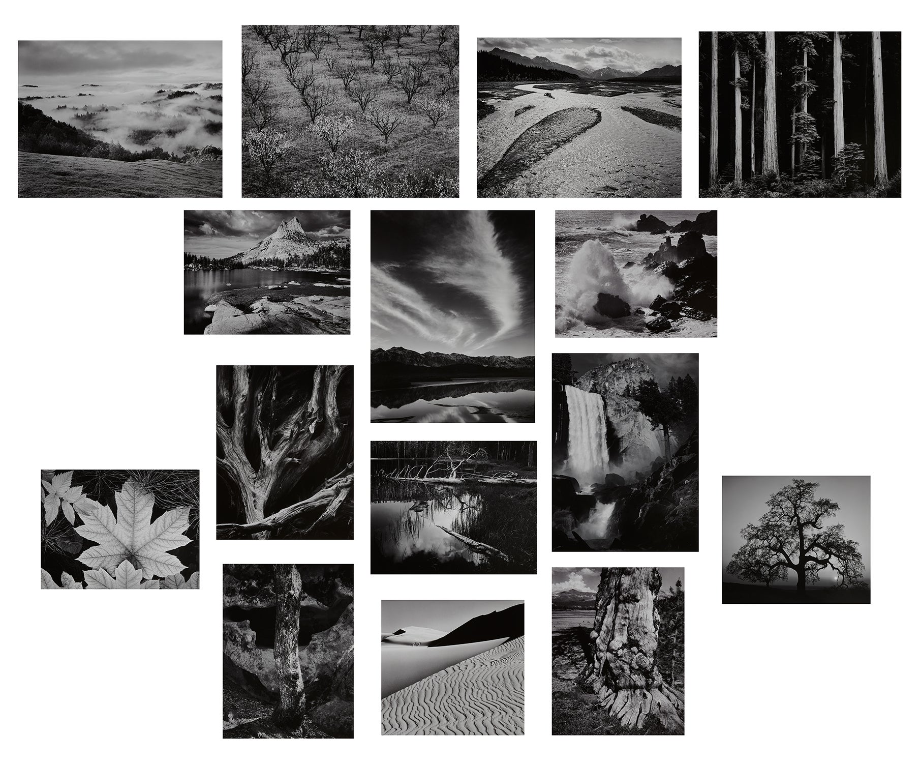 Portfolio Four: What Majestic Word. In Memory of Russell Varian