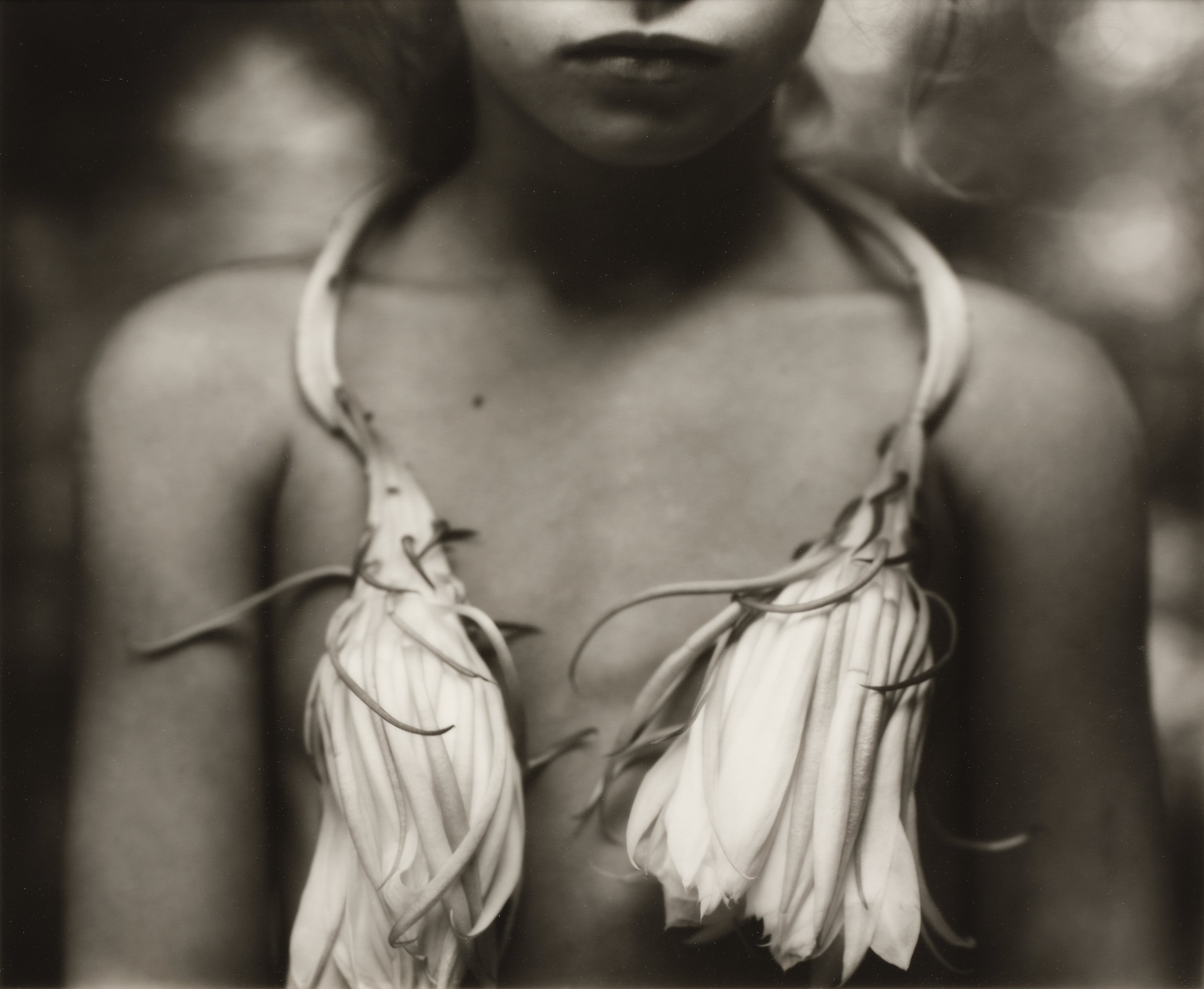 Sally Mann Photographs