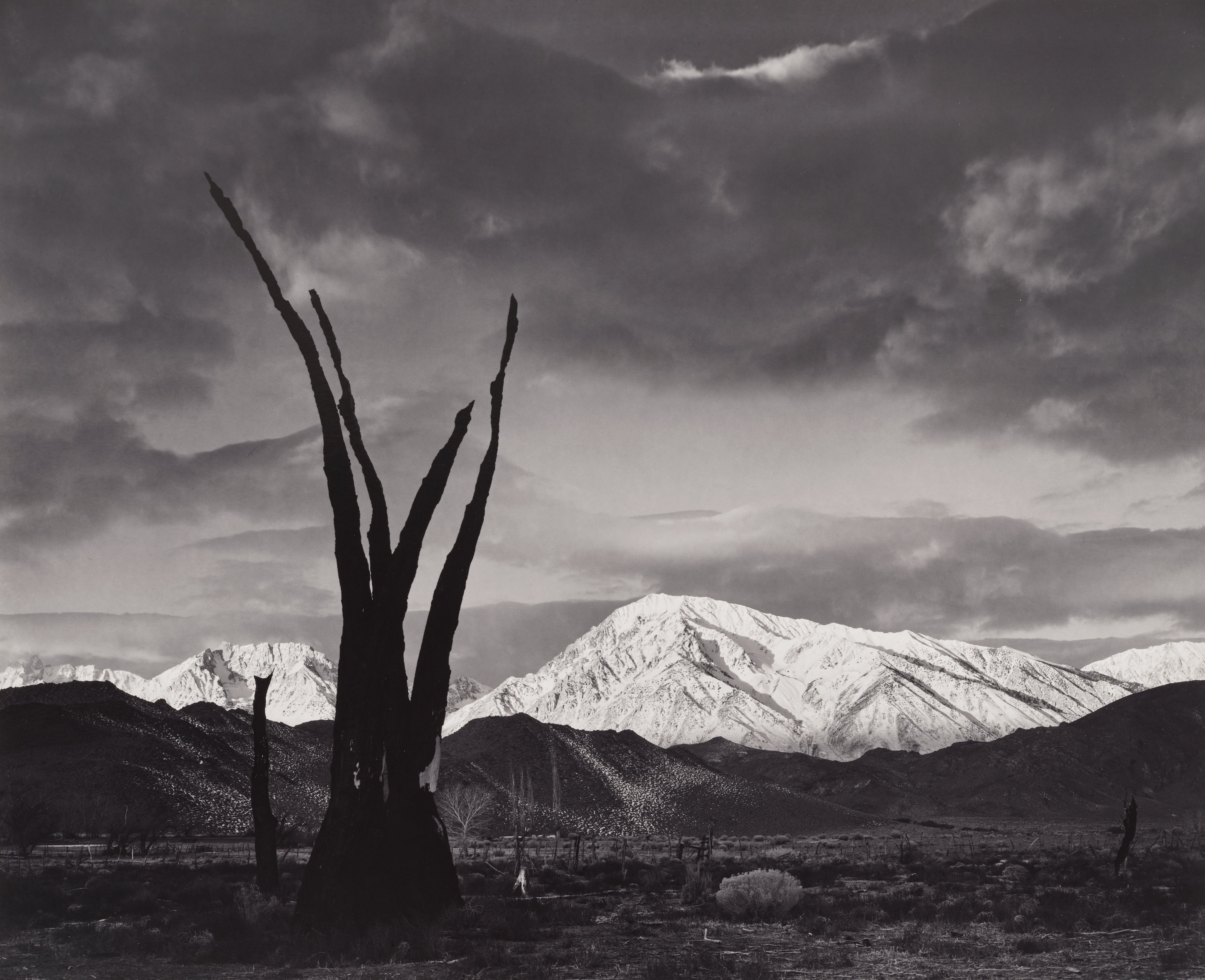 Ansel Adams Photographs