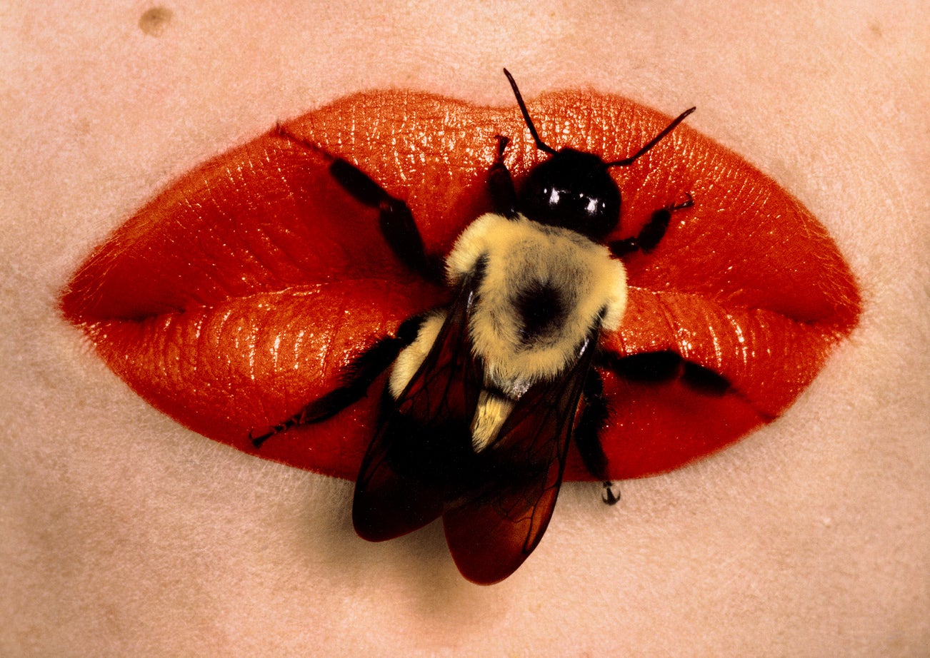<p><strong>IRVING PENN</strong> <em>Bee on Lips, New York</em>, $120,000 &ndash; 180,000</p>
