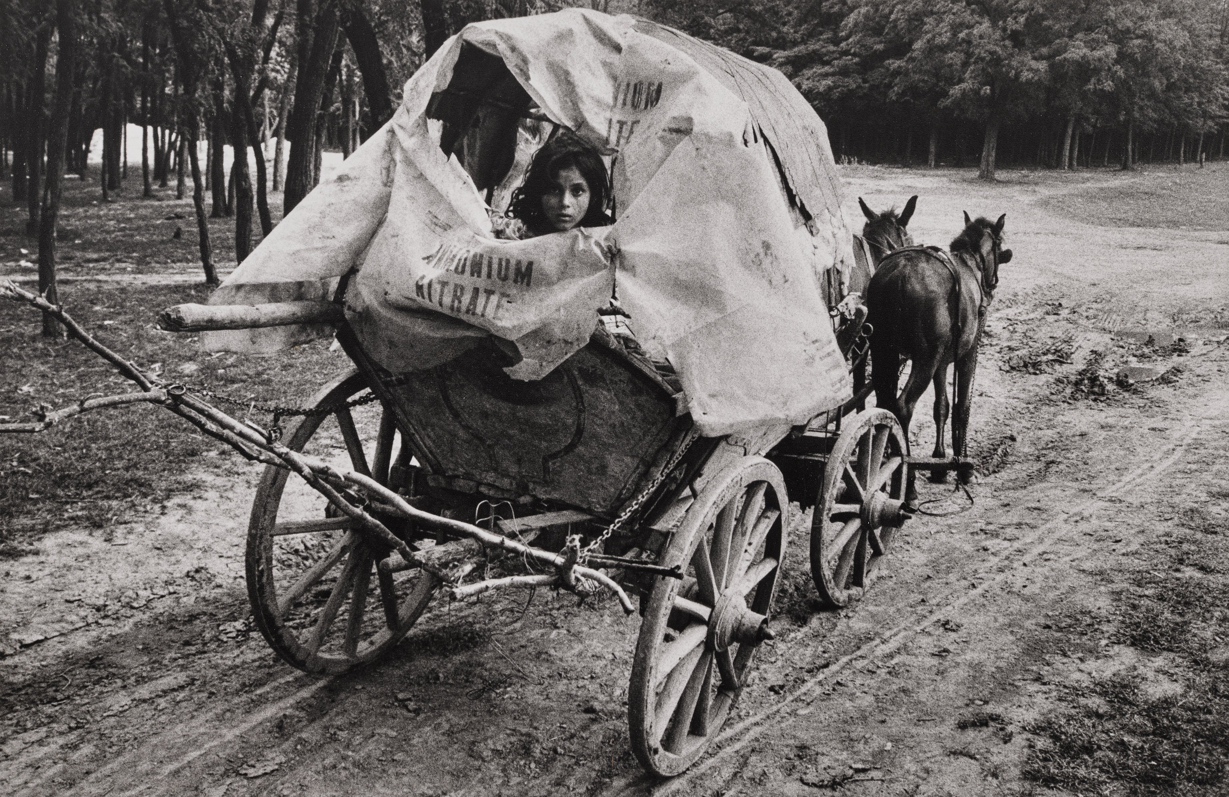 Josef Koudelka: Works for Sale, Upcoming Auctions & Past Results