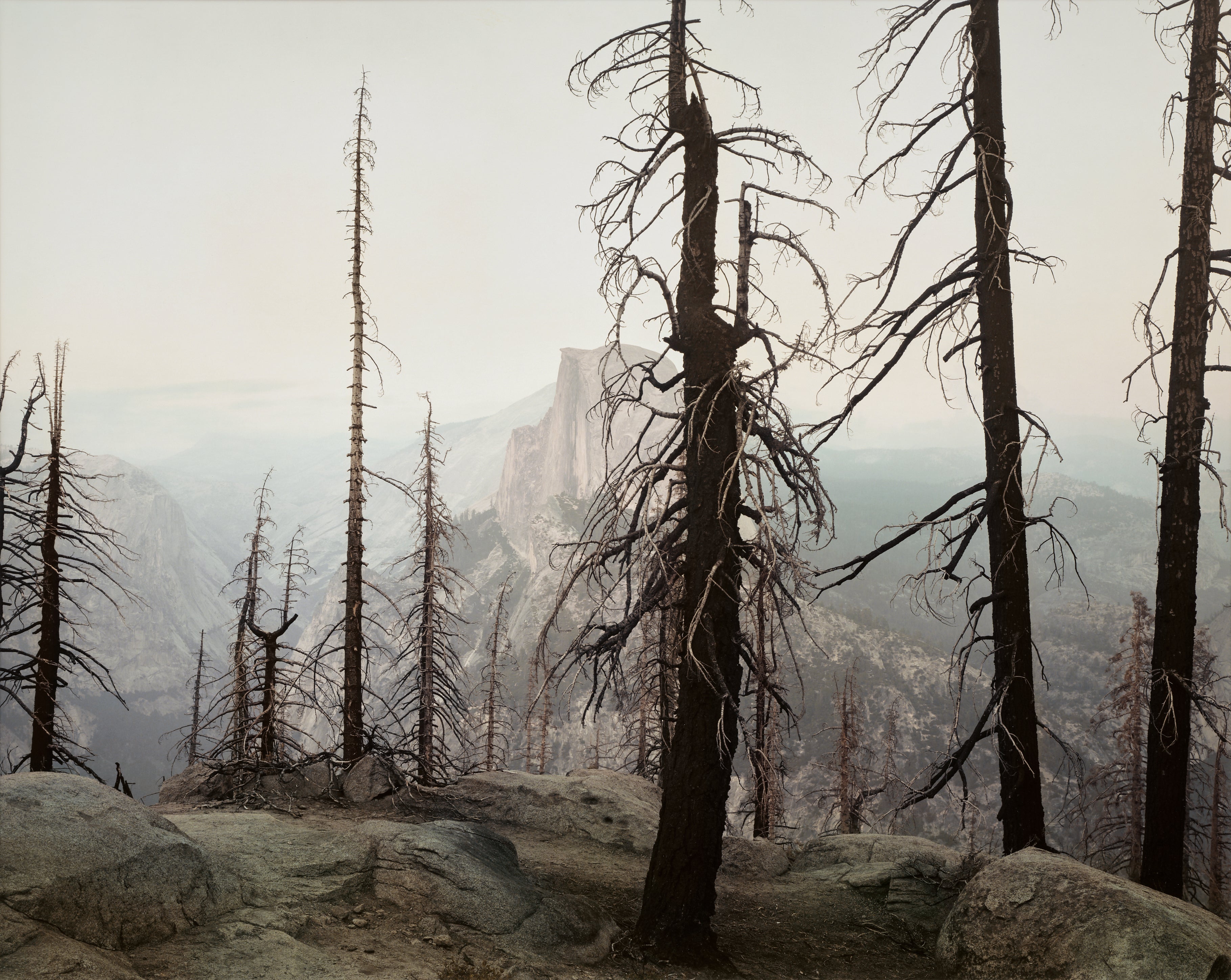 Richard Misrach: Works for Sale, Upcoming Auctions & Past Results