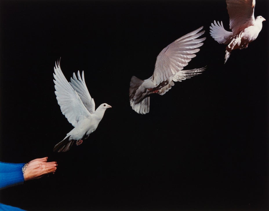 Brought to you by Phillips