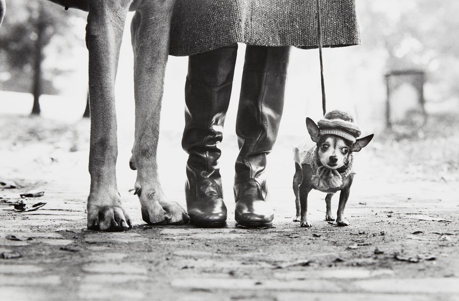 Brought to you by Phillips