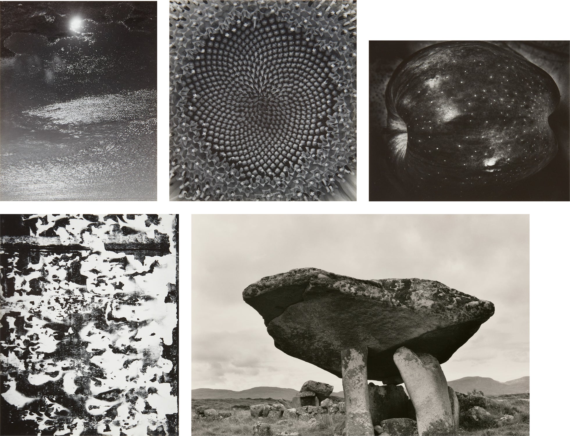 アート・デザイン・音楽 MEGALITHS PAUL CAPONIGRO Paul Caponigro The Eye That Shapes: Further Selections from the