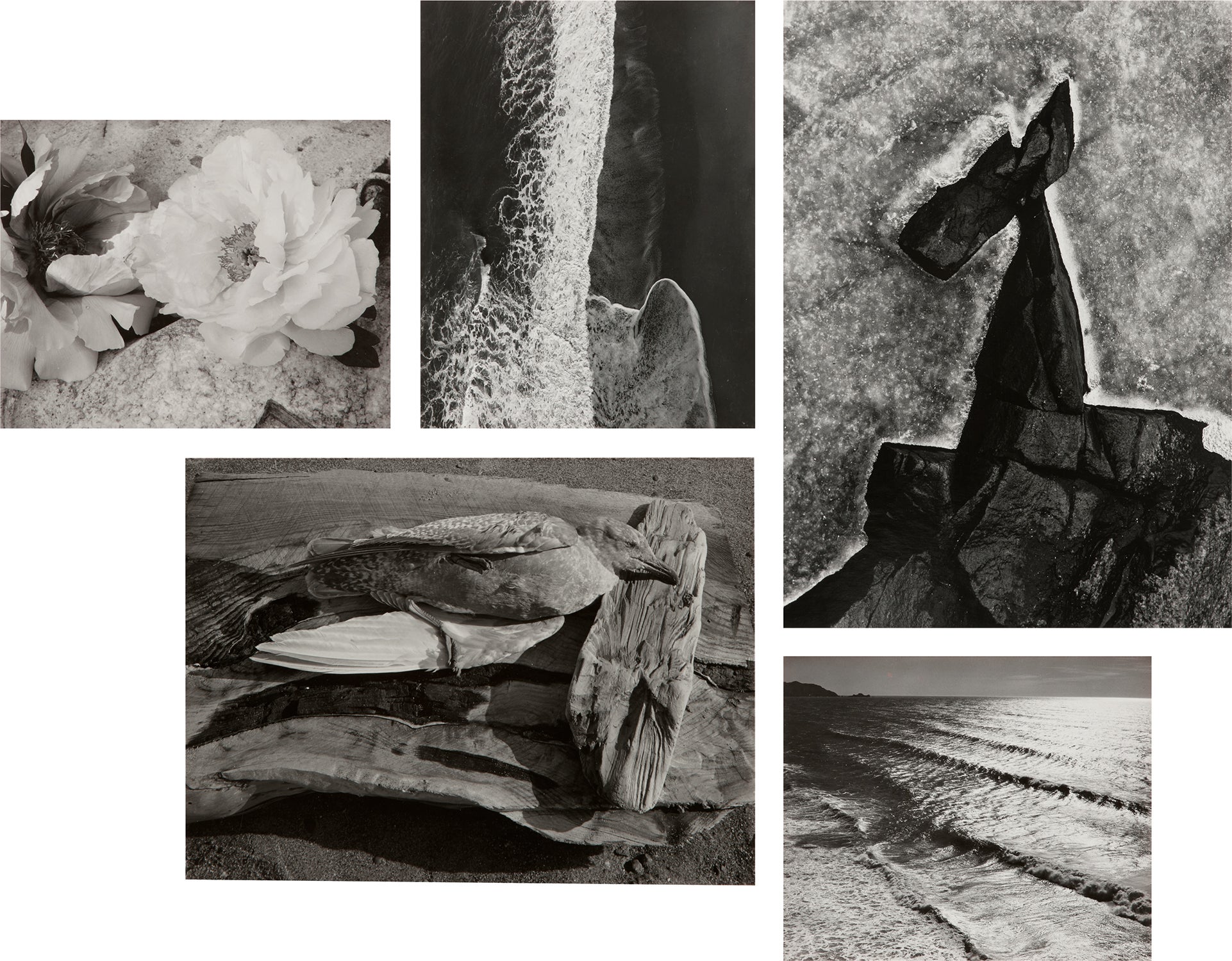 Minor White The Eye That Shapes: Further Selections from the Peter