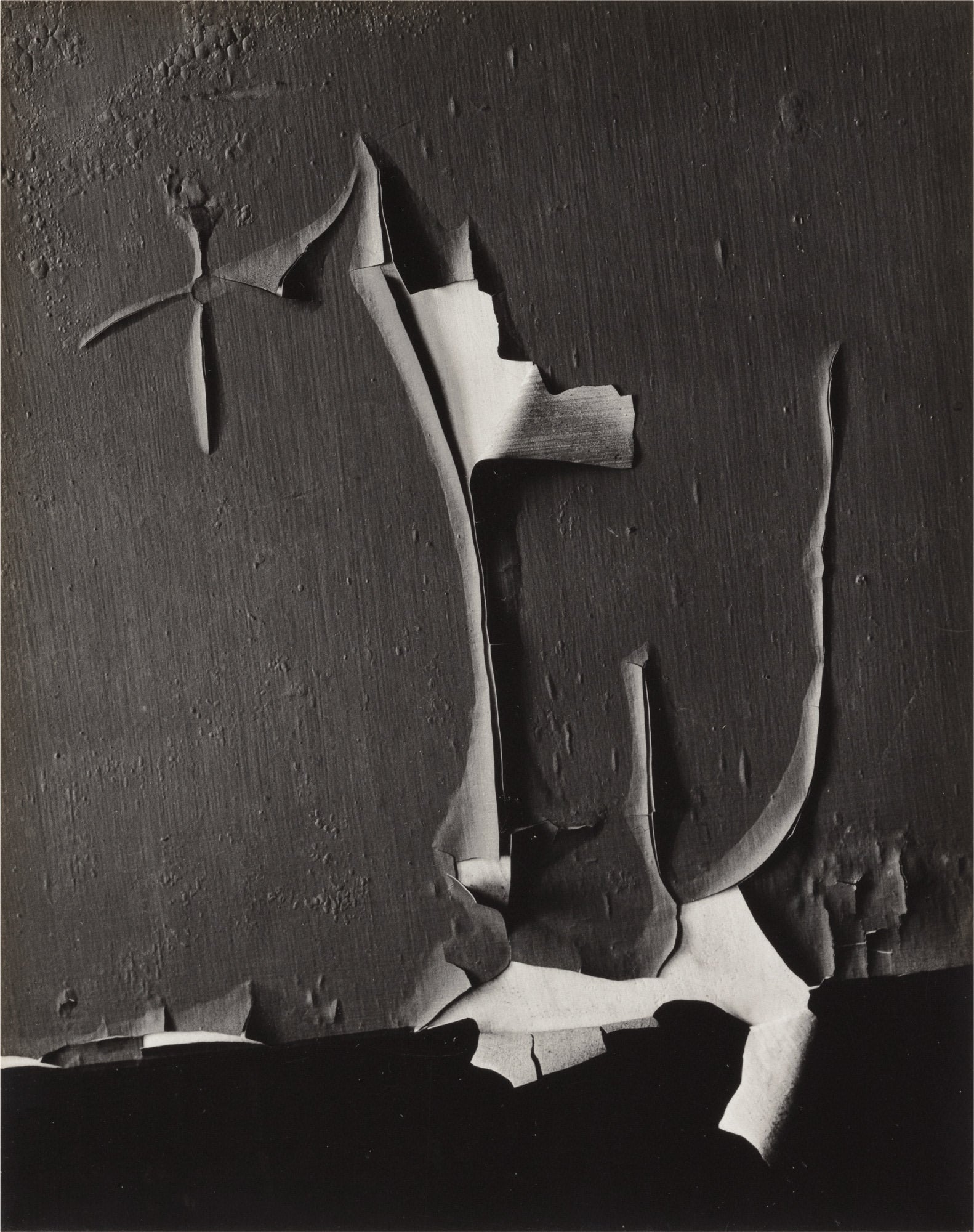 Minor White The Eye That Shapes: Further Selections from the Peter