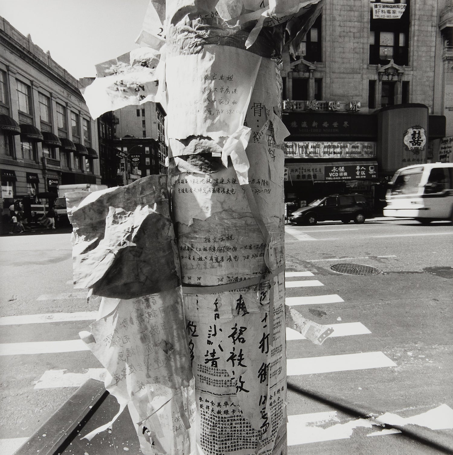 Lee Friedlander: Works for Sale, Upcoming Auctions & Past Results