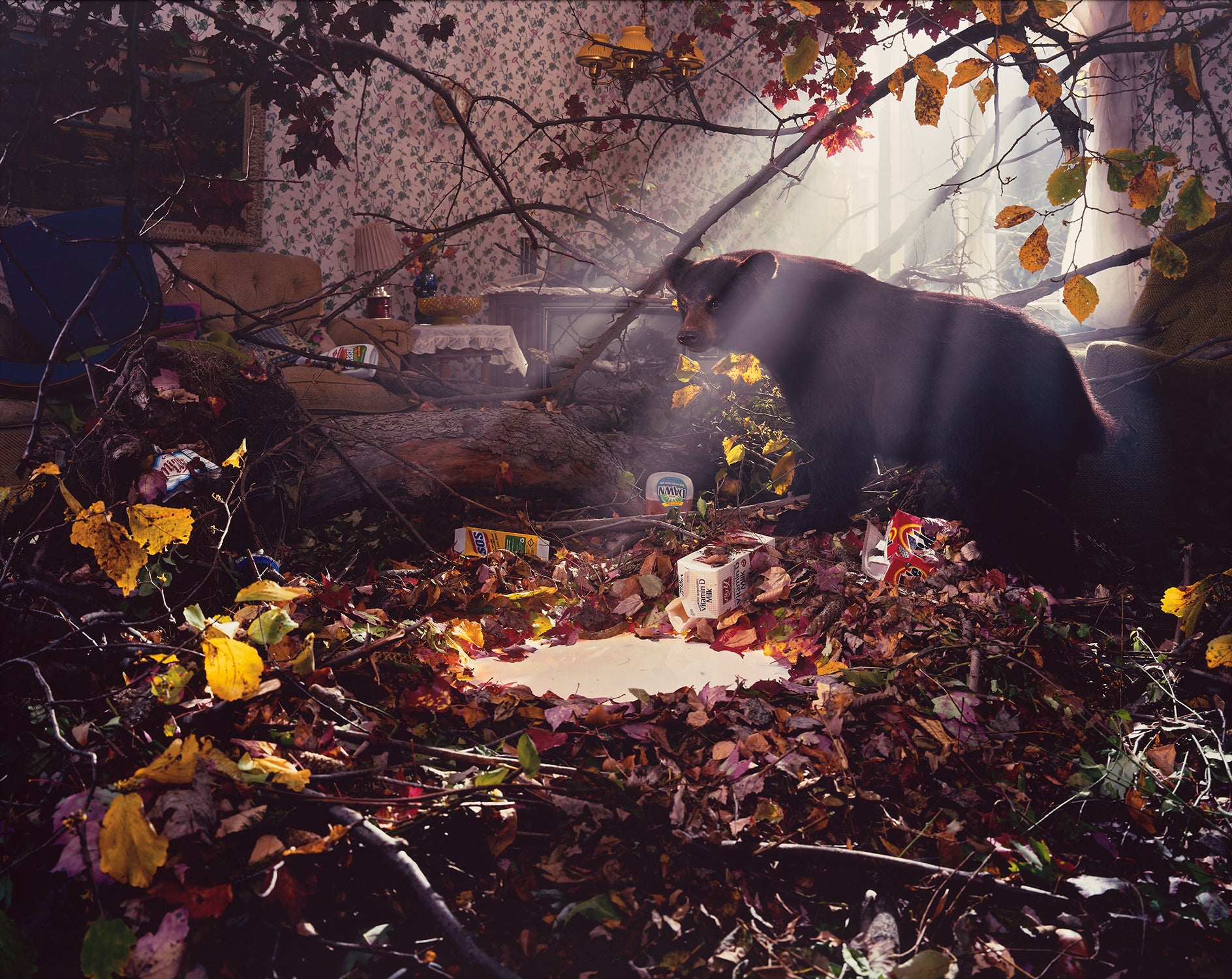 Gregory Crewdson: Works for Sale, Upcoming Auctions & Past Results
