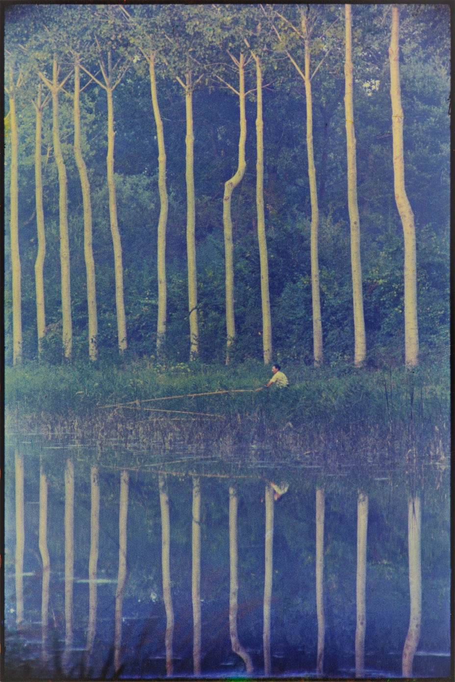 Brought to you by Phillips