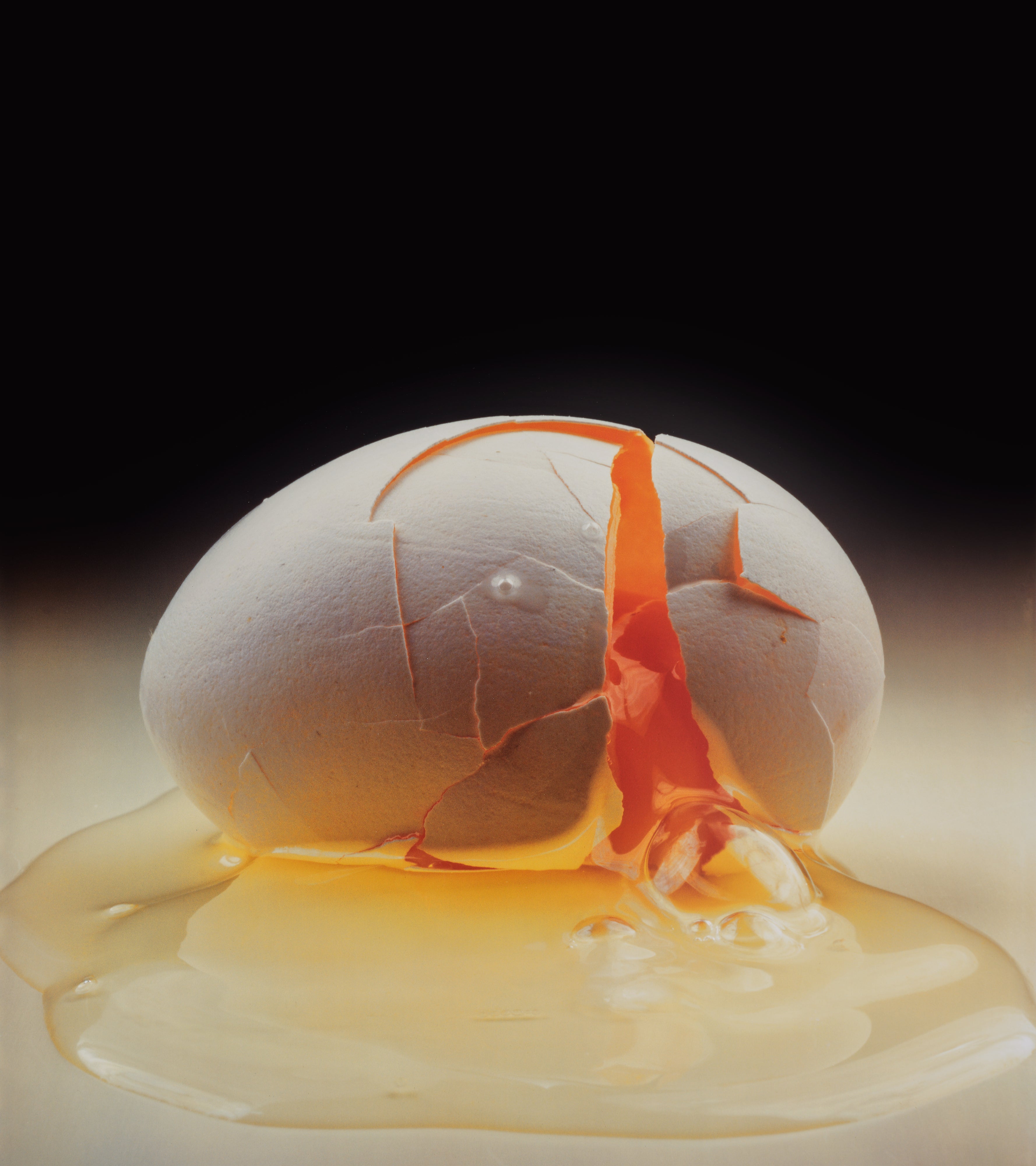 Irving Penn Visual Language: The Art of Irving Penn