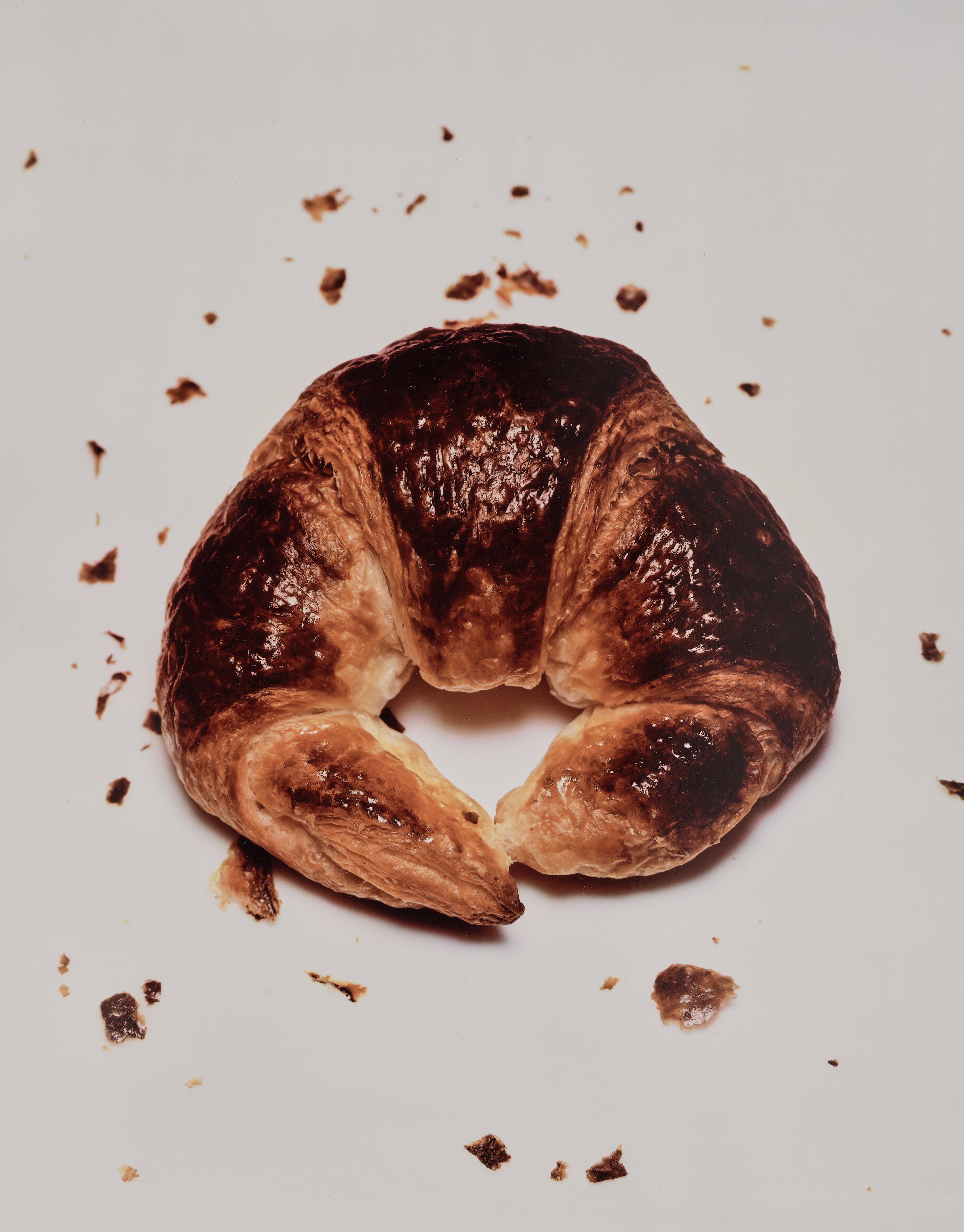 Irving Penn Visual Language: The Art of Irving Penn