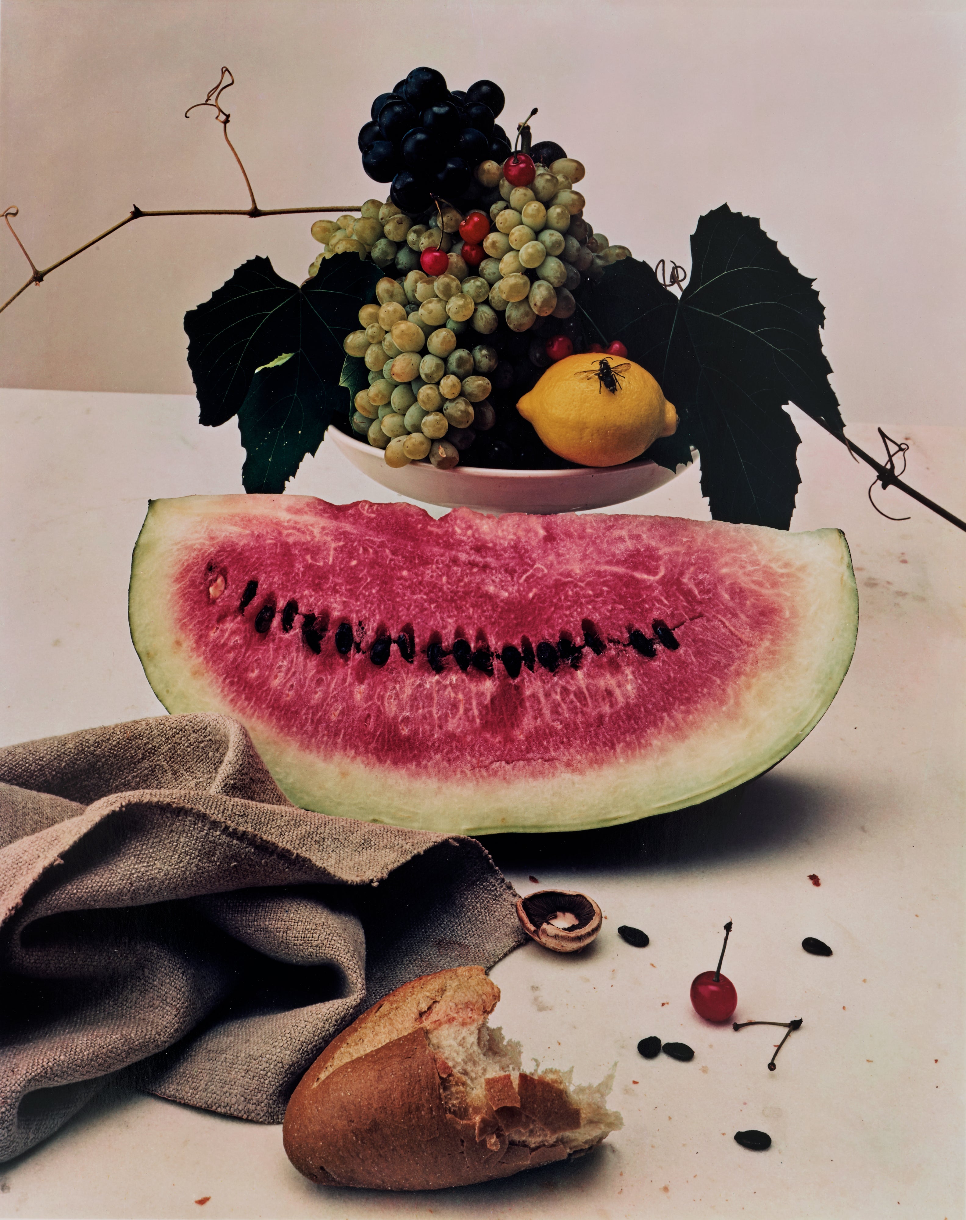 Irving Penn Visual Language: The Art of Irving Penn