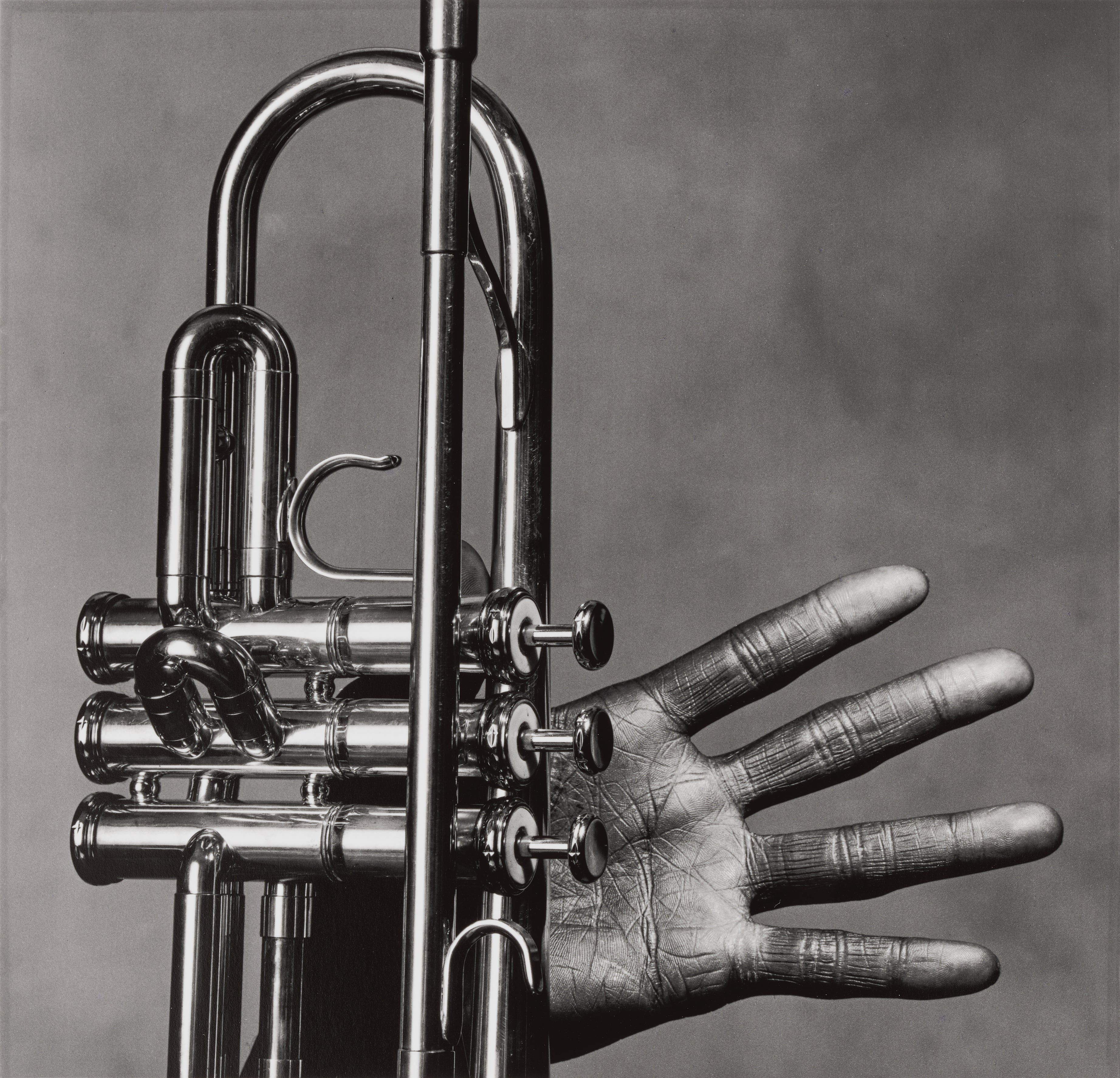 Irving Penn Visual Language: The Art of Irving Penn