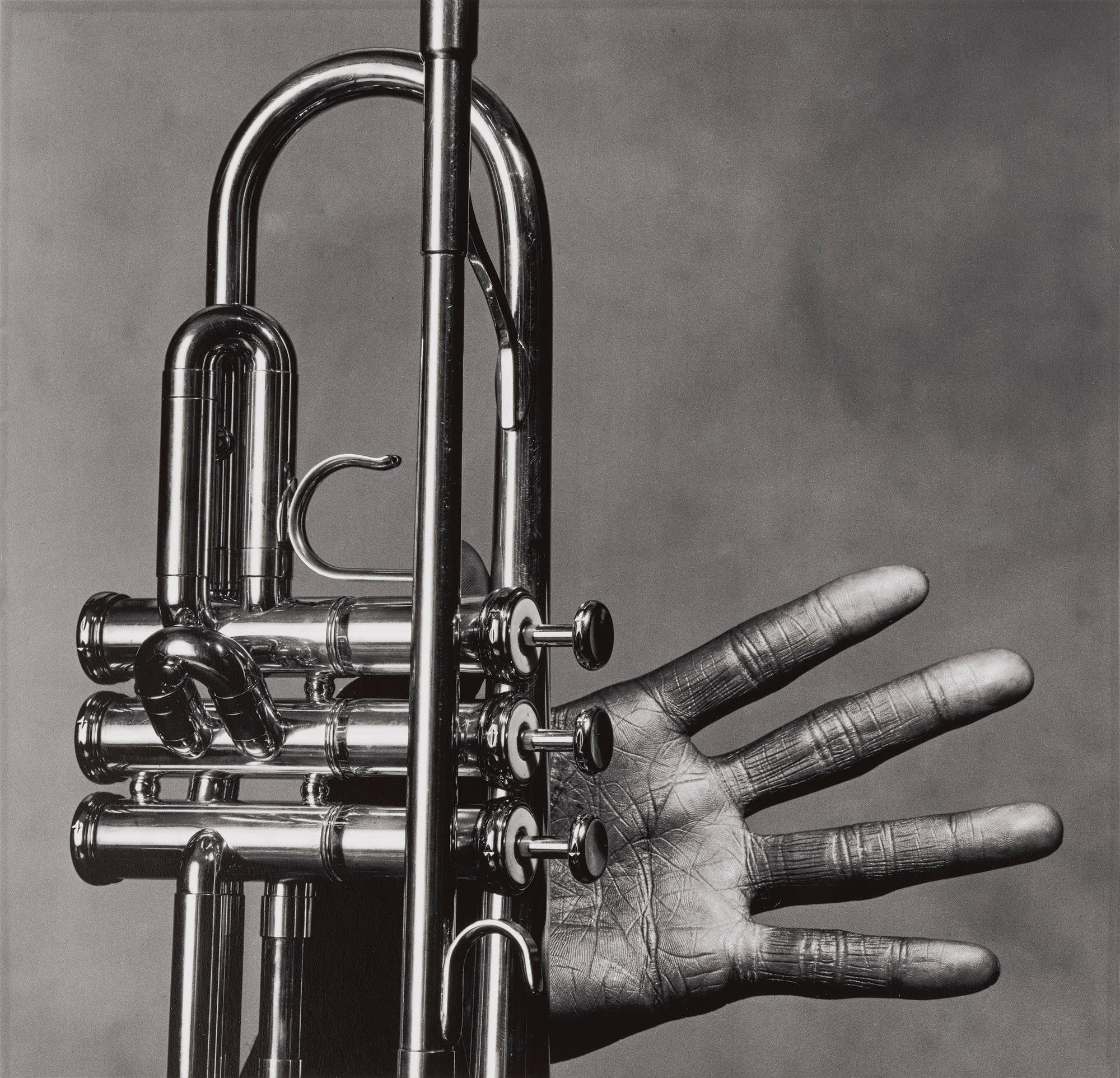 Irving Penn Visual Language: The Art of Irving Penn