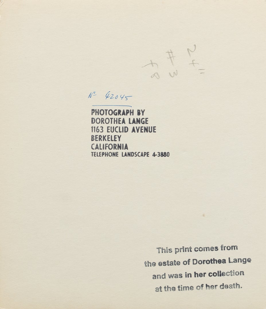 Lot 1