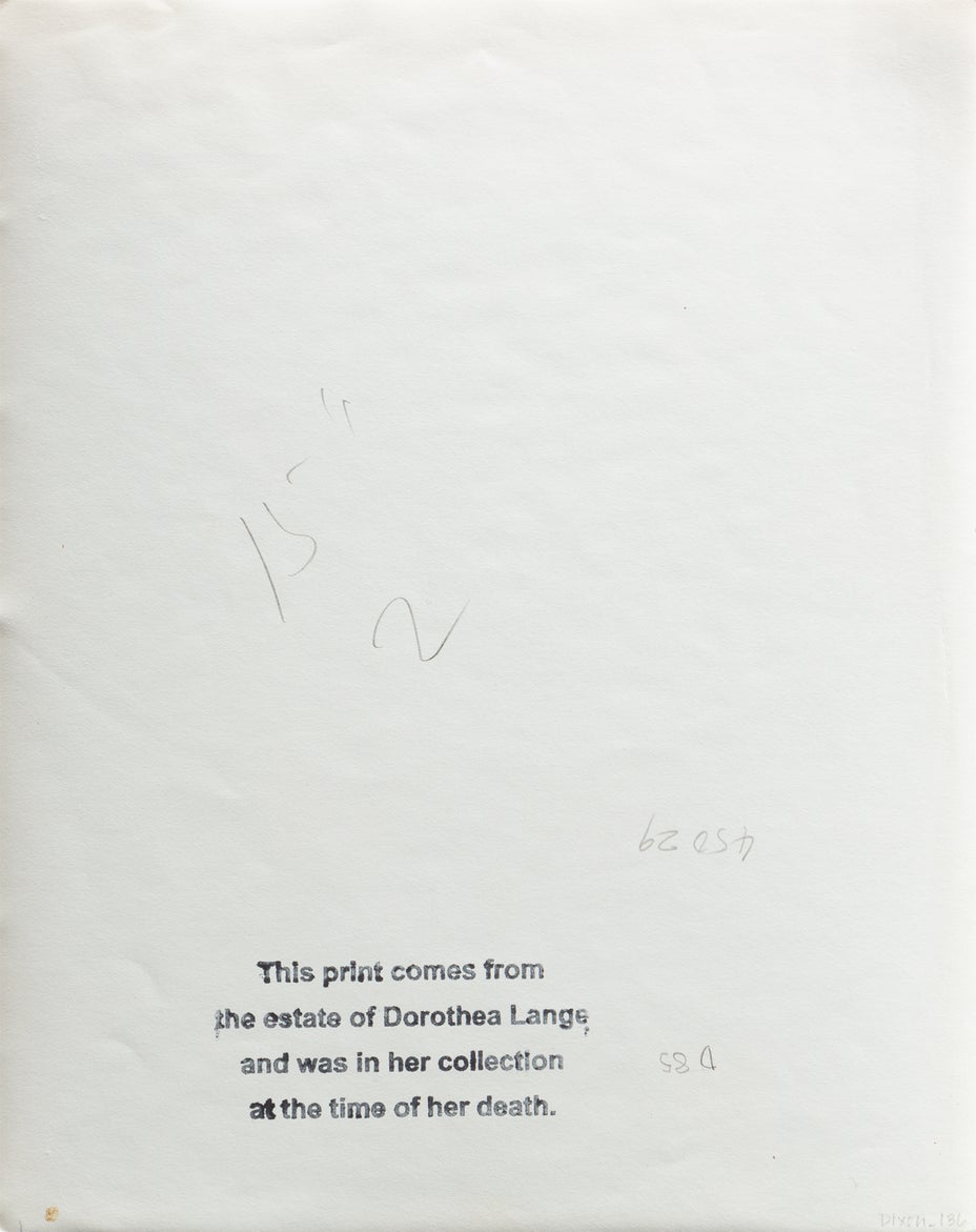Lot 1