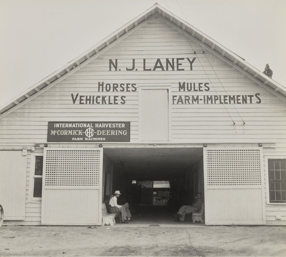 Lot 1