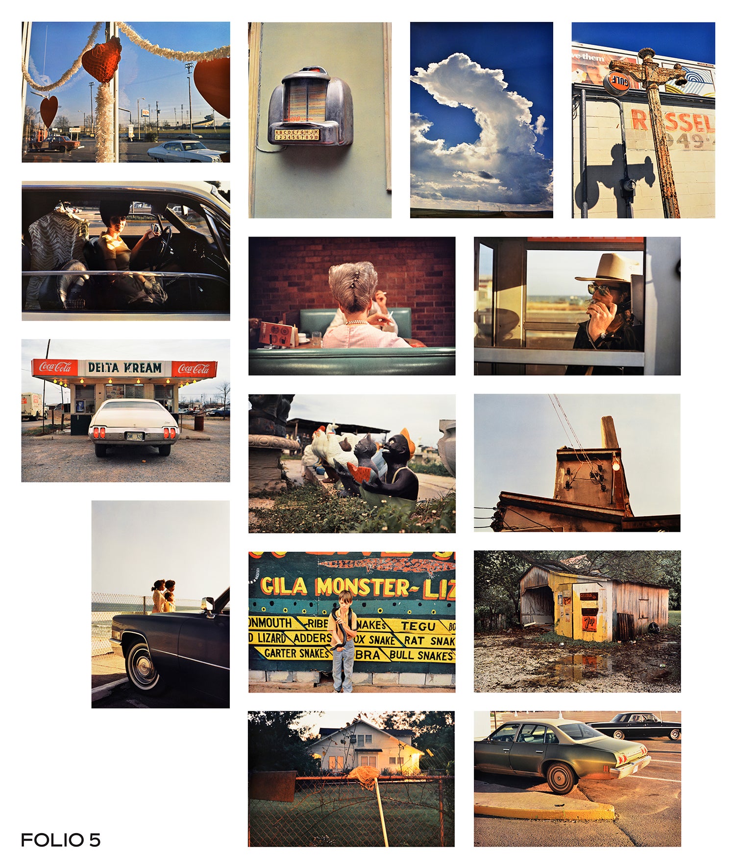 William Eggleston Color Vision: Masterworks by William Eggleston