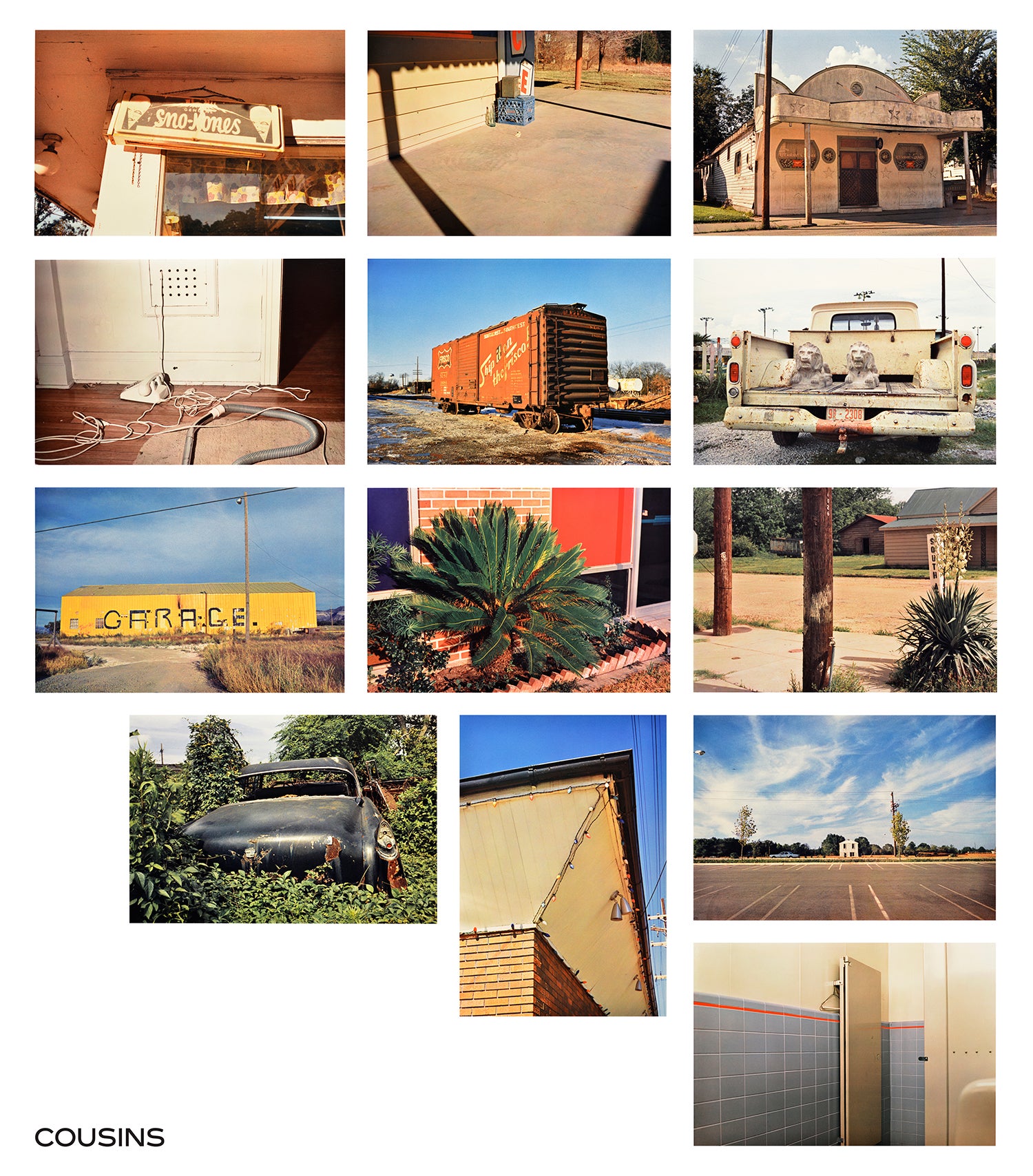 William Eggleston Color Vision: Masterworks by William Eggleston
