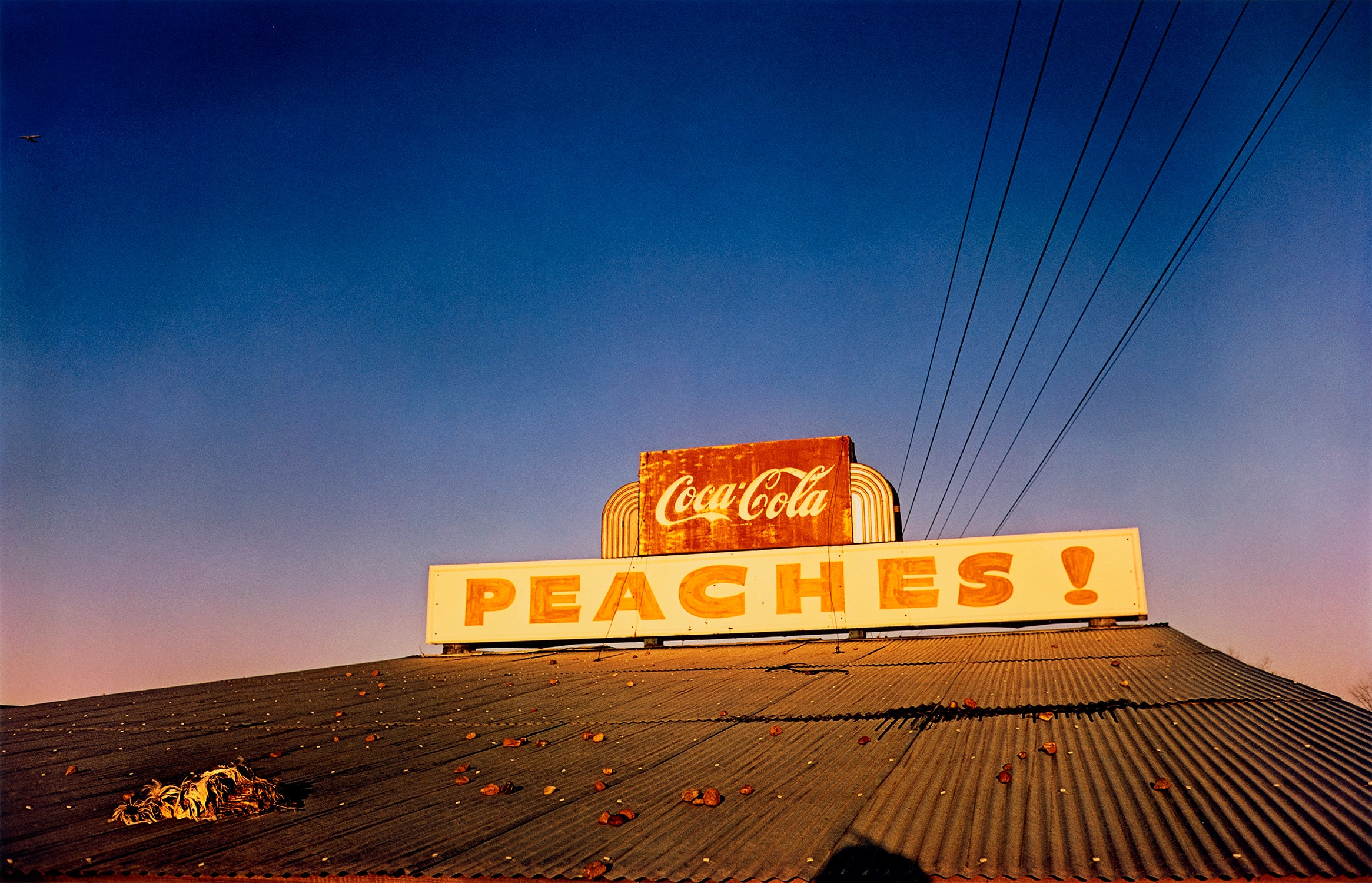 Color Vision: Masterworks by William Eggleston from Guy Stricherz