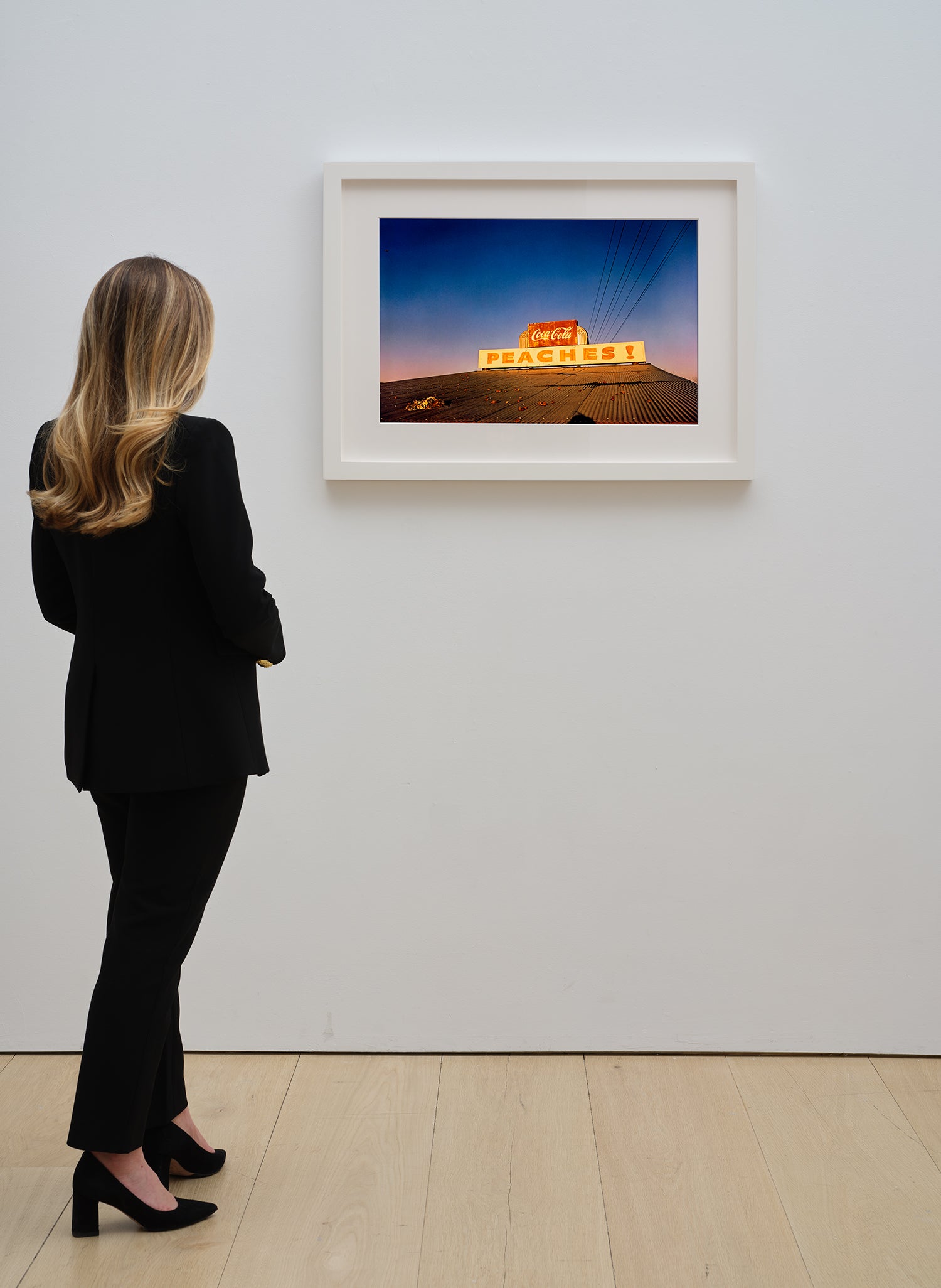 William Eggleston Color Vision: Masterworks by William Eggleston