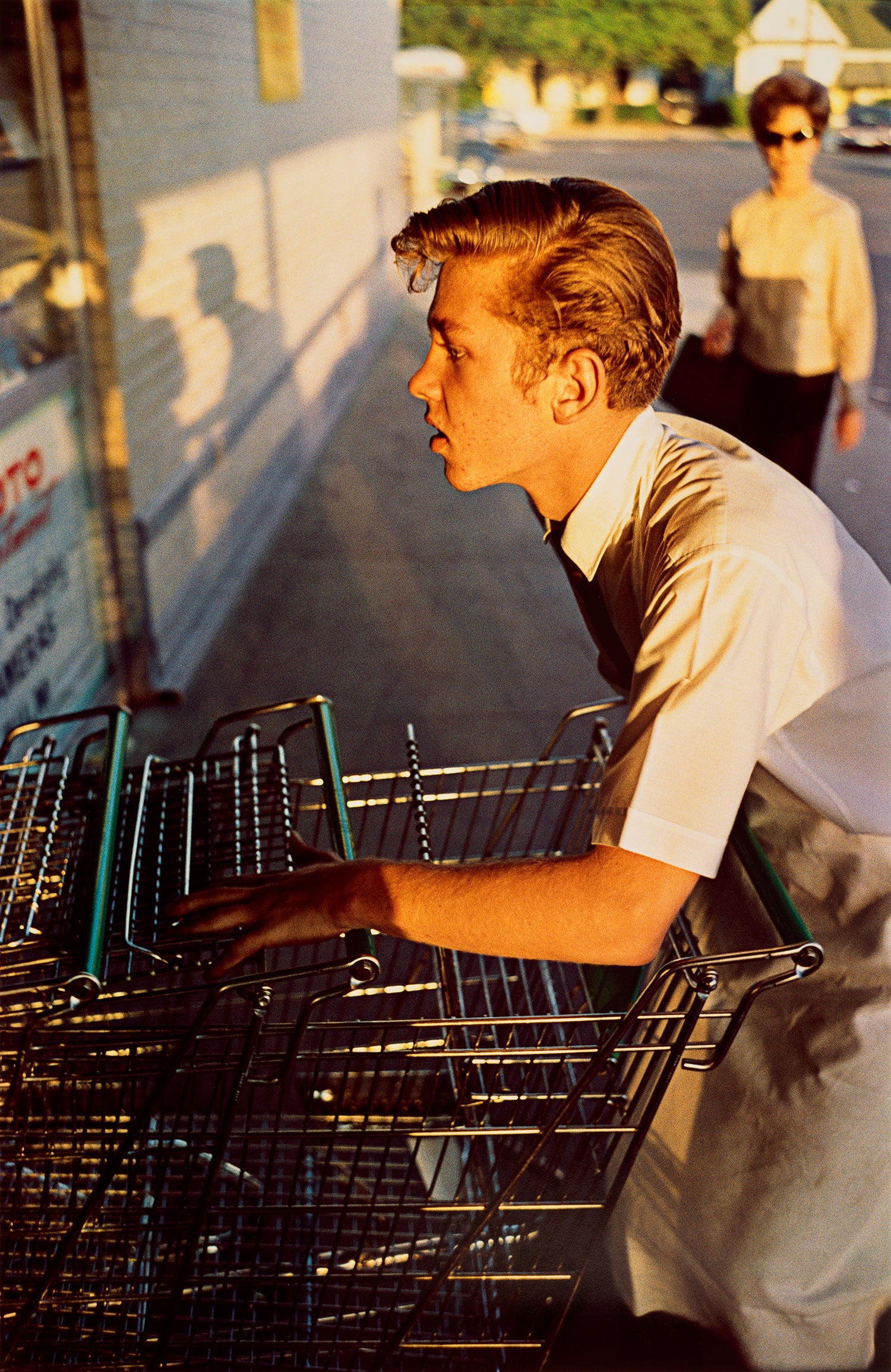 William Eggleston Color Vision: Masterworks by William Eggleston