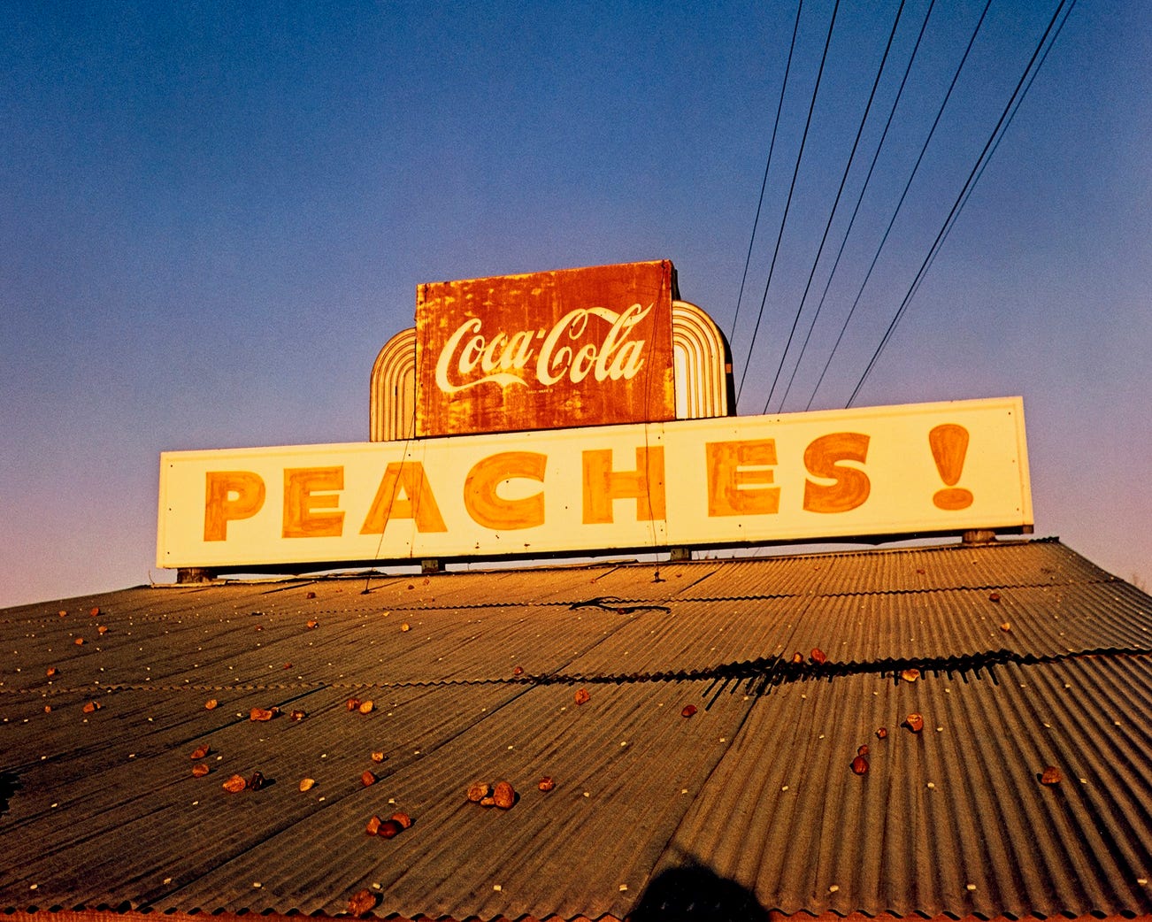 Color Vision: Masterworks by William Eggleston from Guy Stricherz and Irene Malli