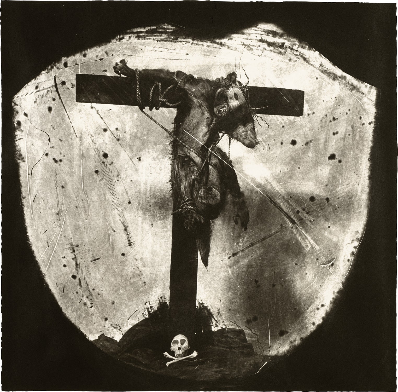 Joel-Peter Witkin: Works for Sale, Upcoming Auctions & Past Results