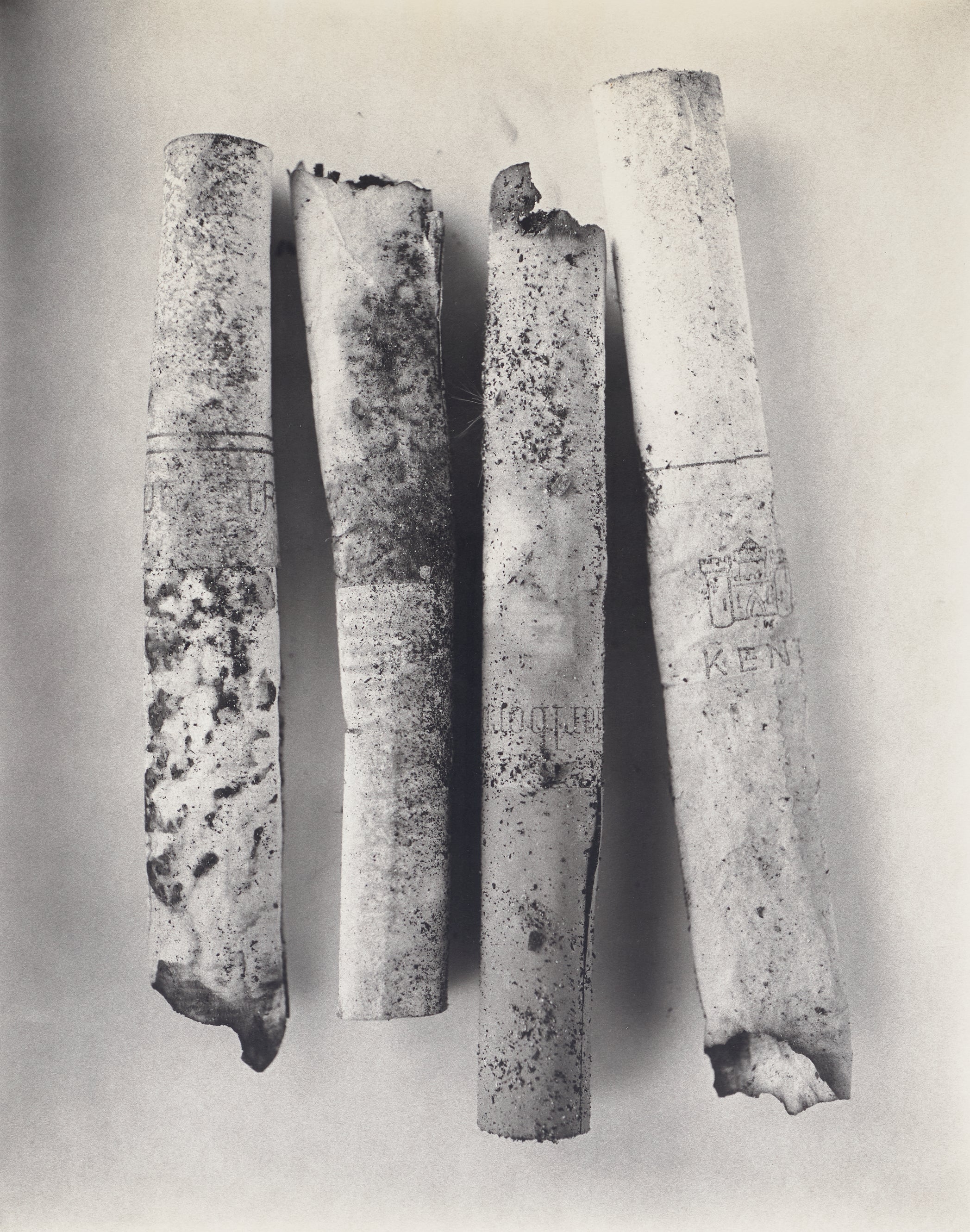 Irving Penn: Works for Sale, Upcoming Auctions & Past Results