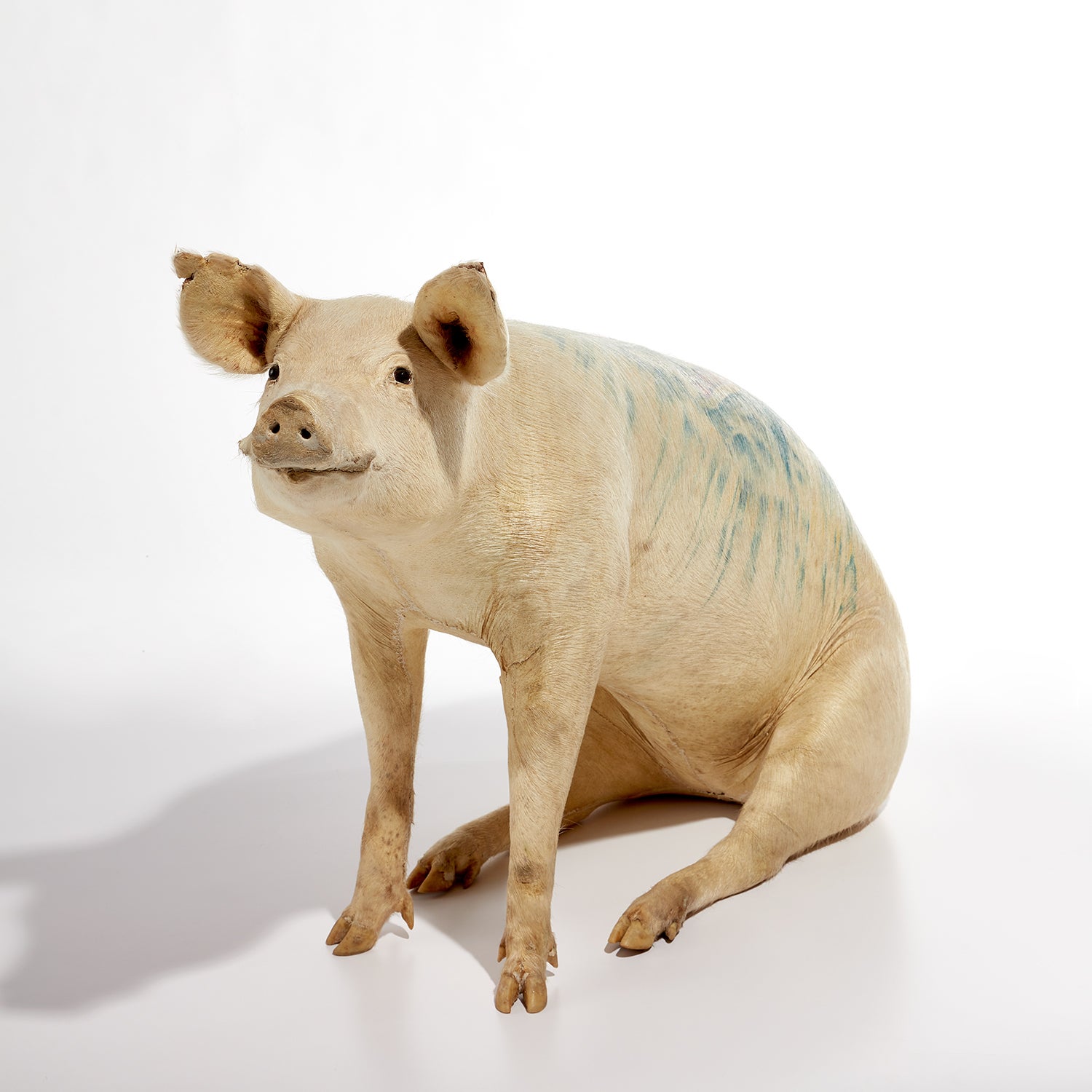 Wim Delvoye: Works for Sale, Upcoming Auctions & Past Results