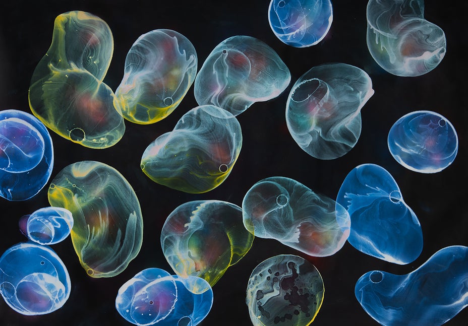 Brought to you by Phillips