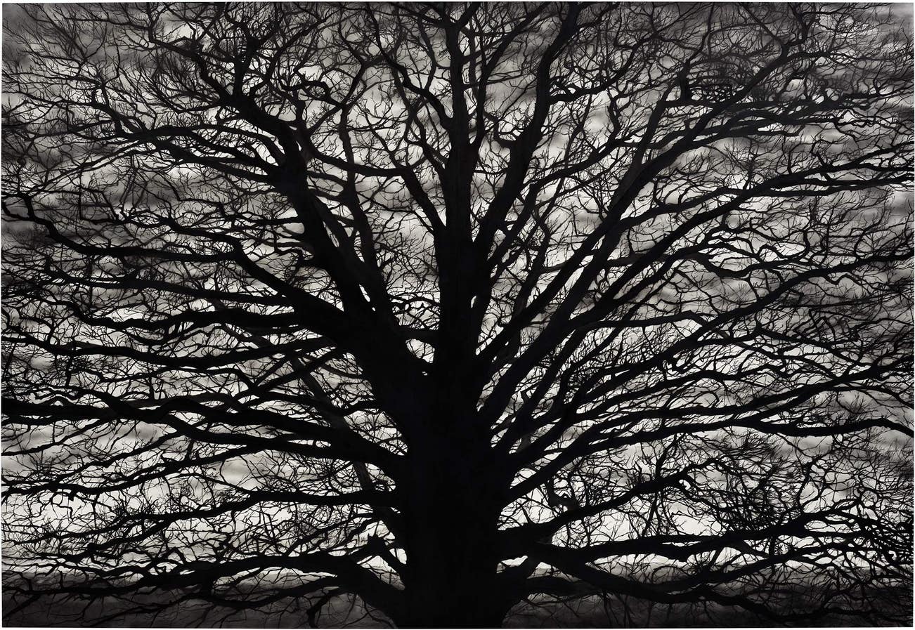 <p><strong>ROBERT LONGO</strong> <em>Untitled (Gothic Tree),</em> &pound;250,000&ndash;300,000</p>
