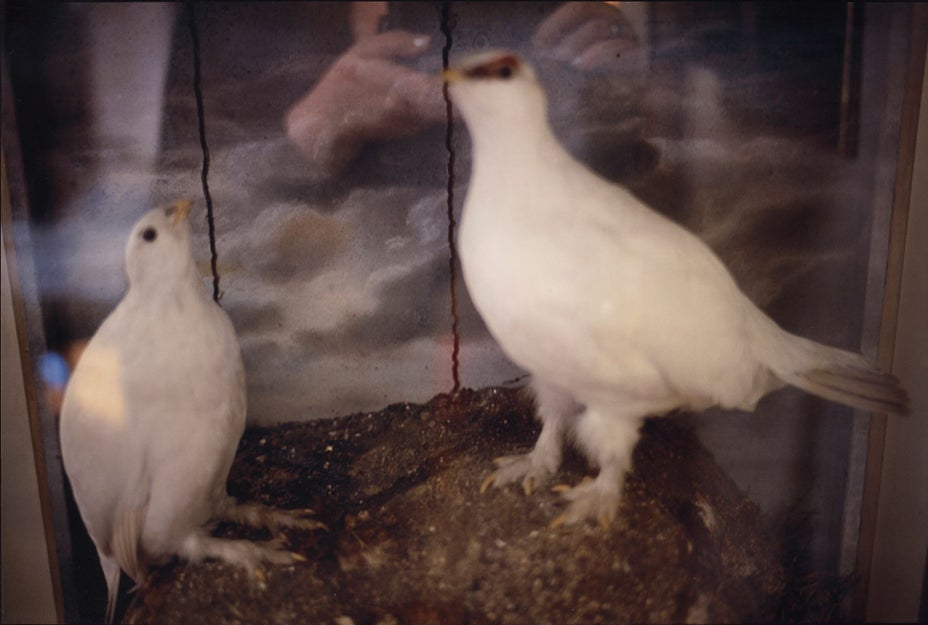 Brought to you by Phillips