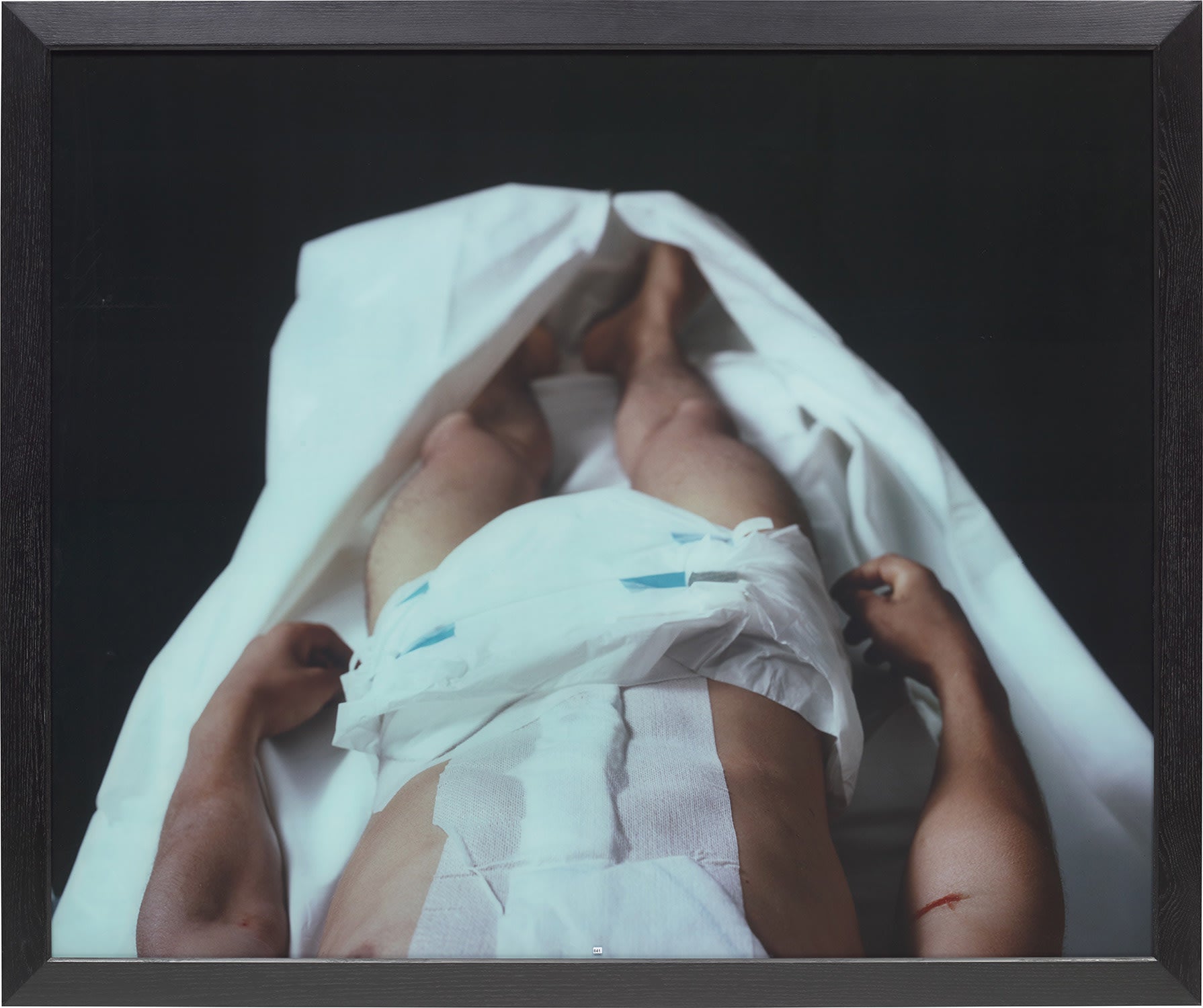 Andres Serrano New Now
