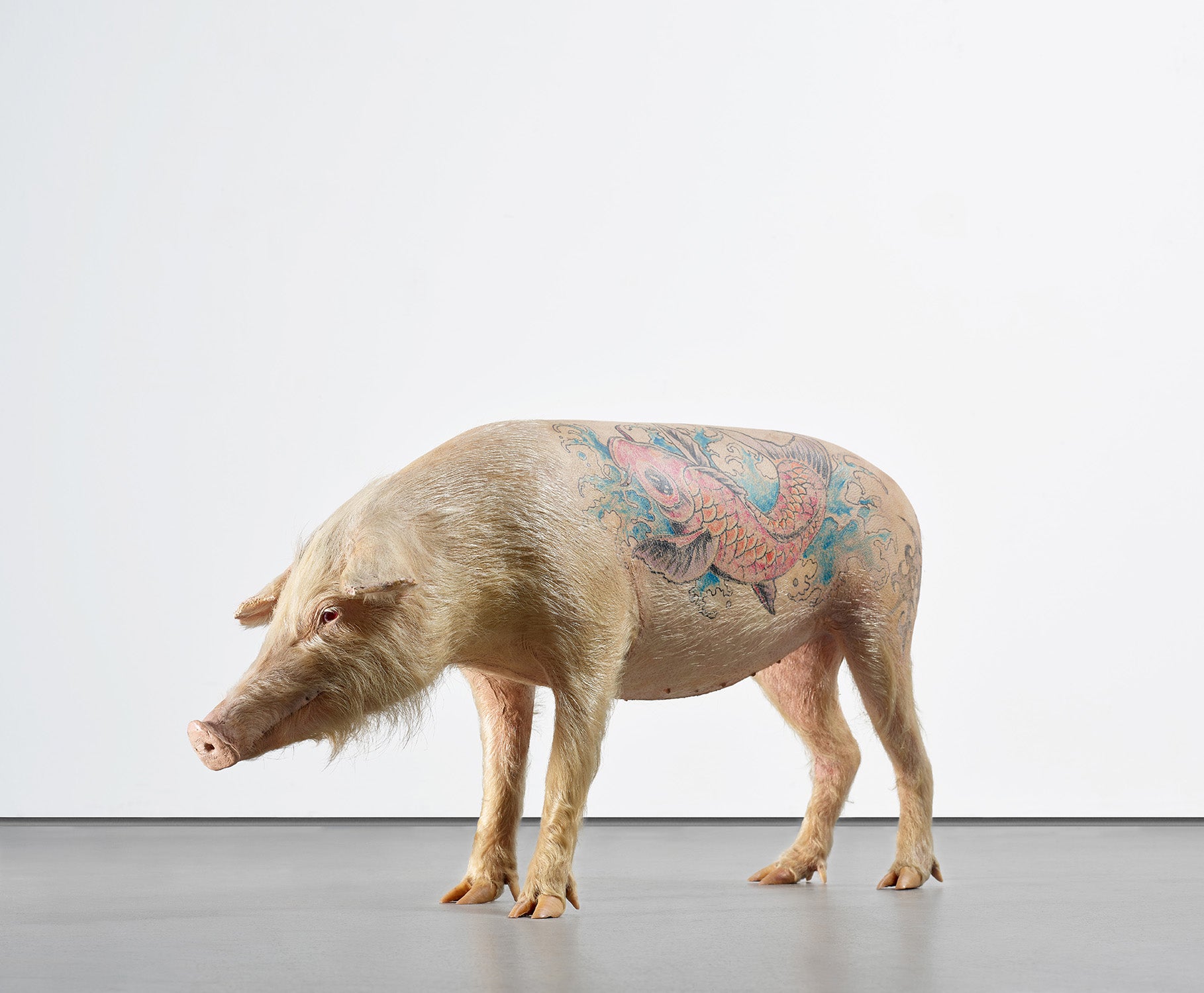 Wim Delvoye: Works for Sale, Upcoming Auctions & Past Results