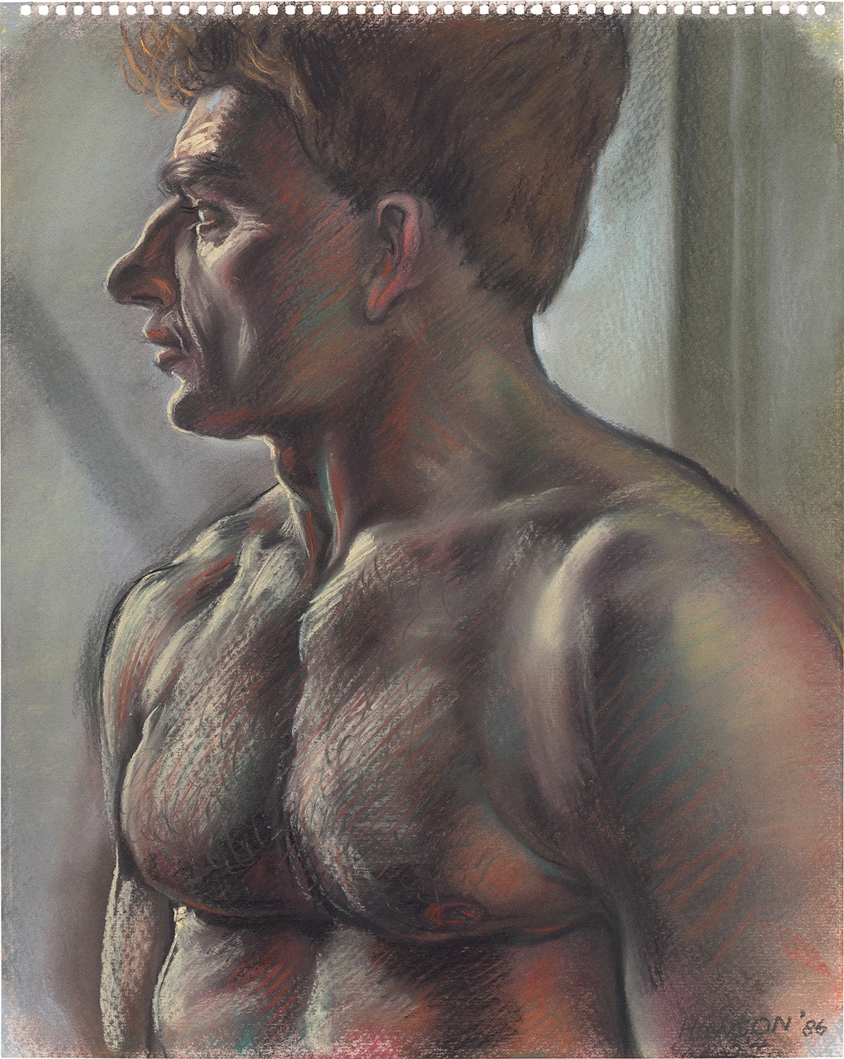 The Bodybuilder
