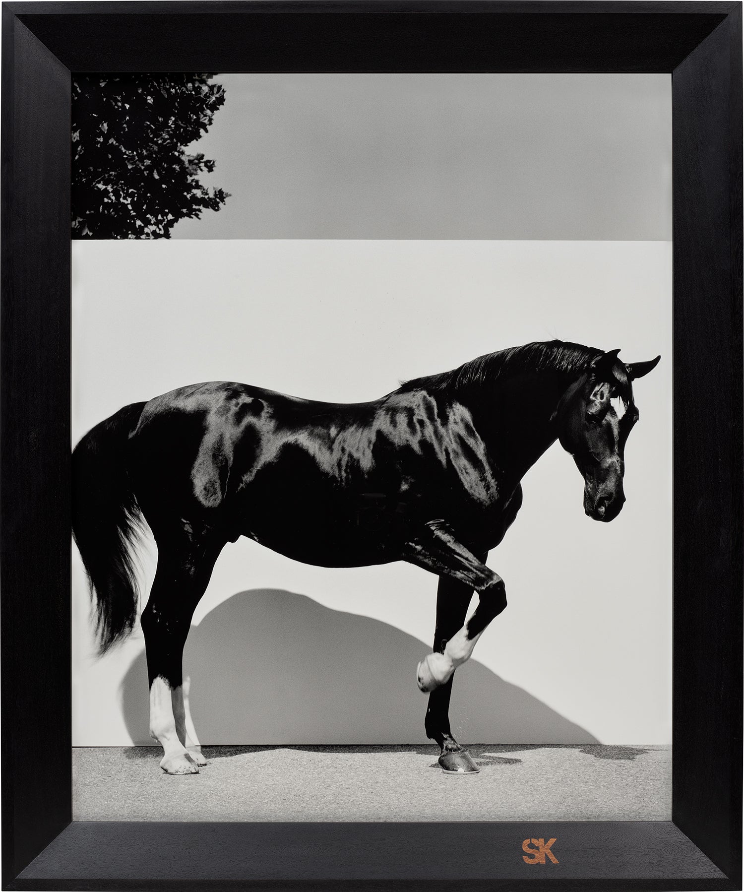 Alan Charlton New Now: Modern & Contemporary Art