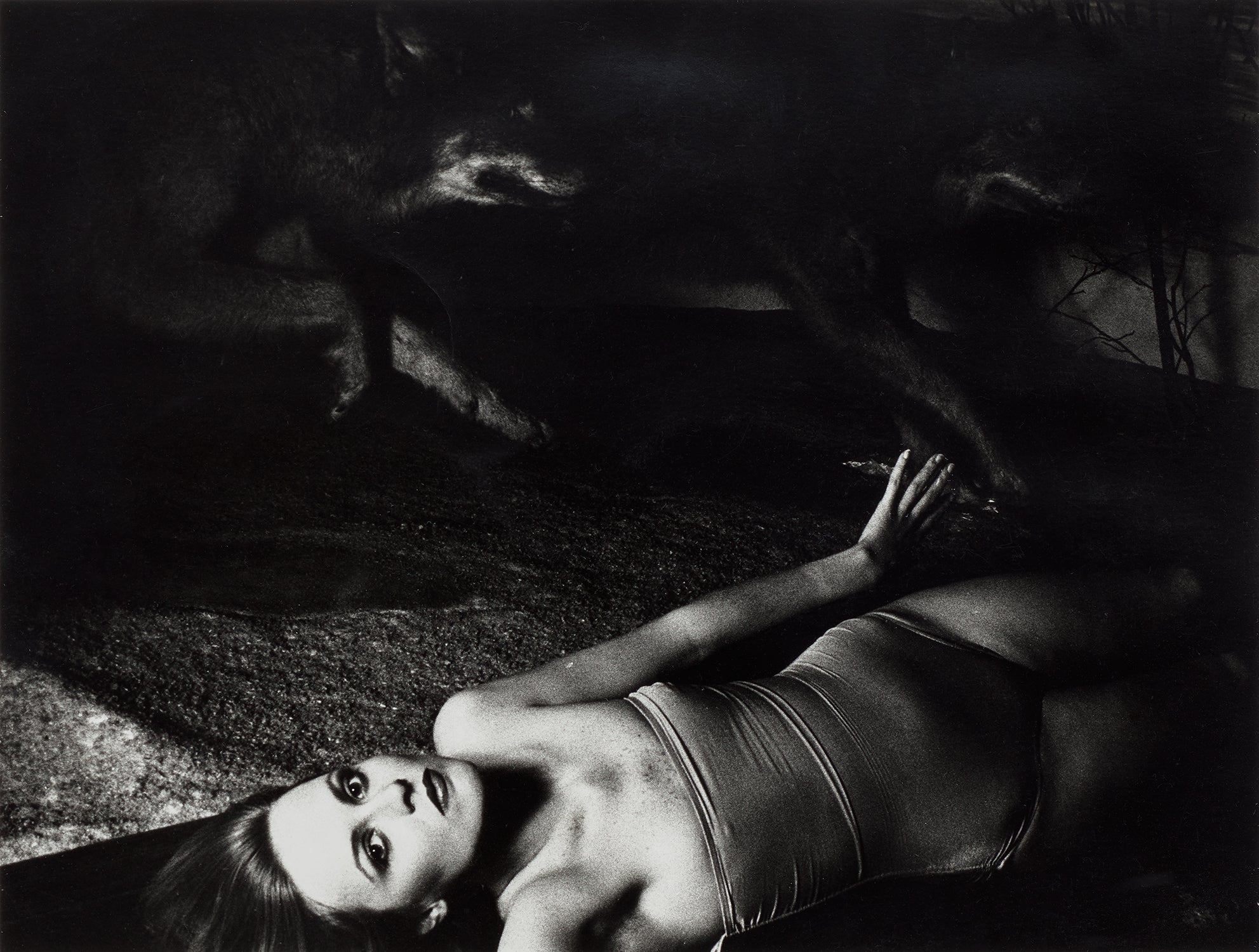 Francesca Woodman New Now: Modern & Contemporary Art