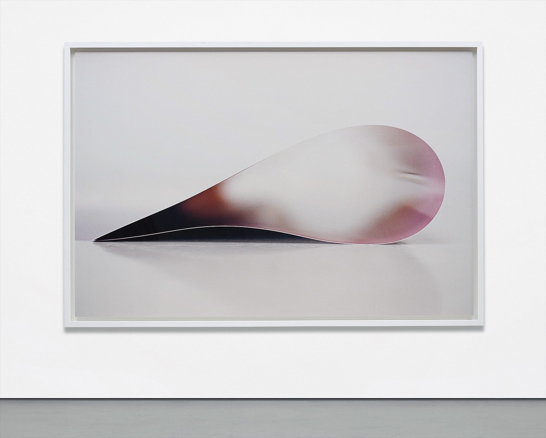 Wolfgang Tillmans 20th Century & Contemporary Art Evening Sale