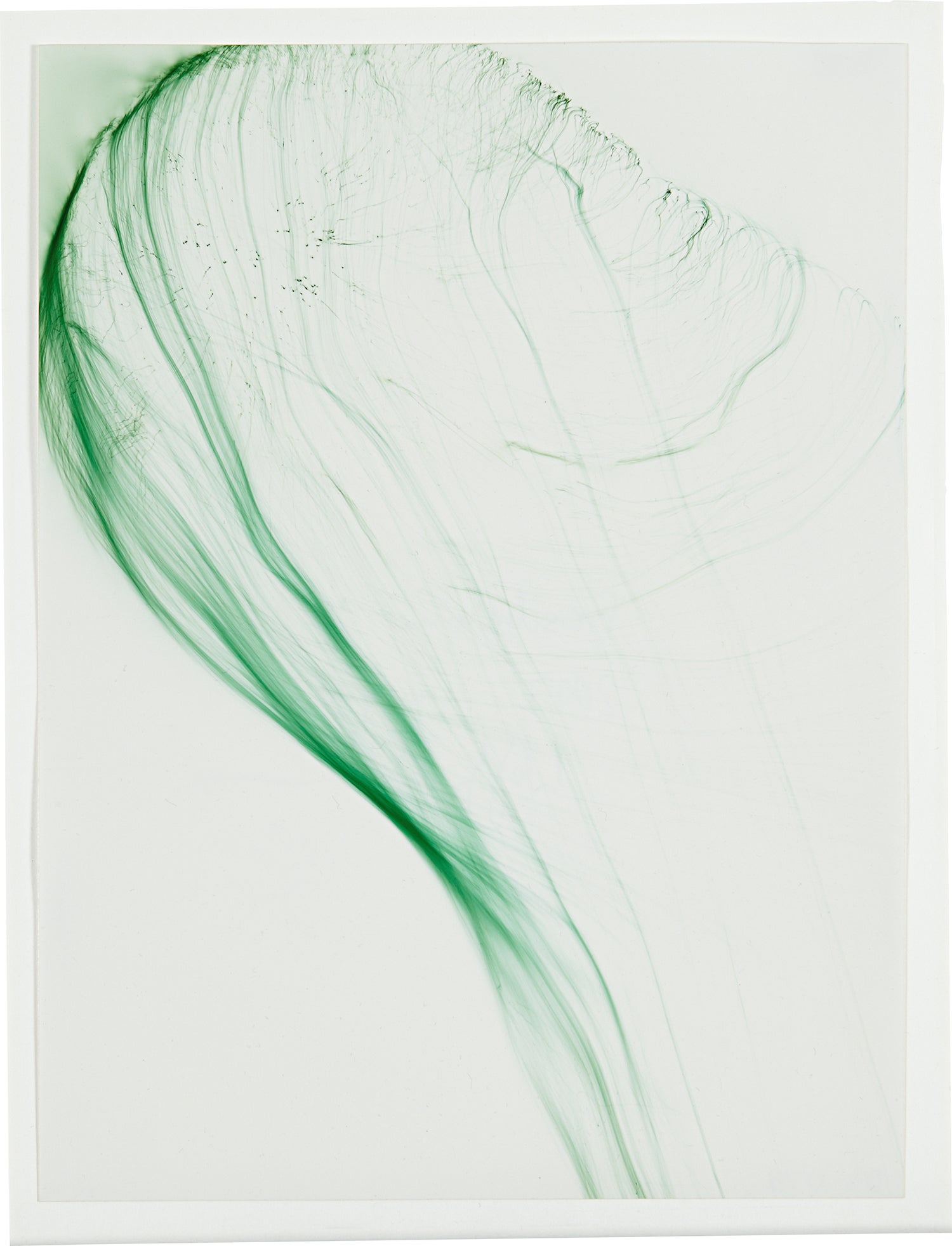 Wolfgang Tillmans 20th Century to Now