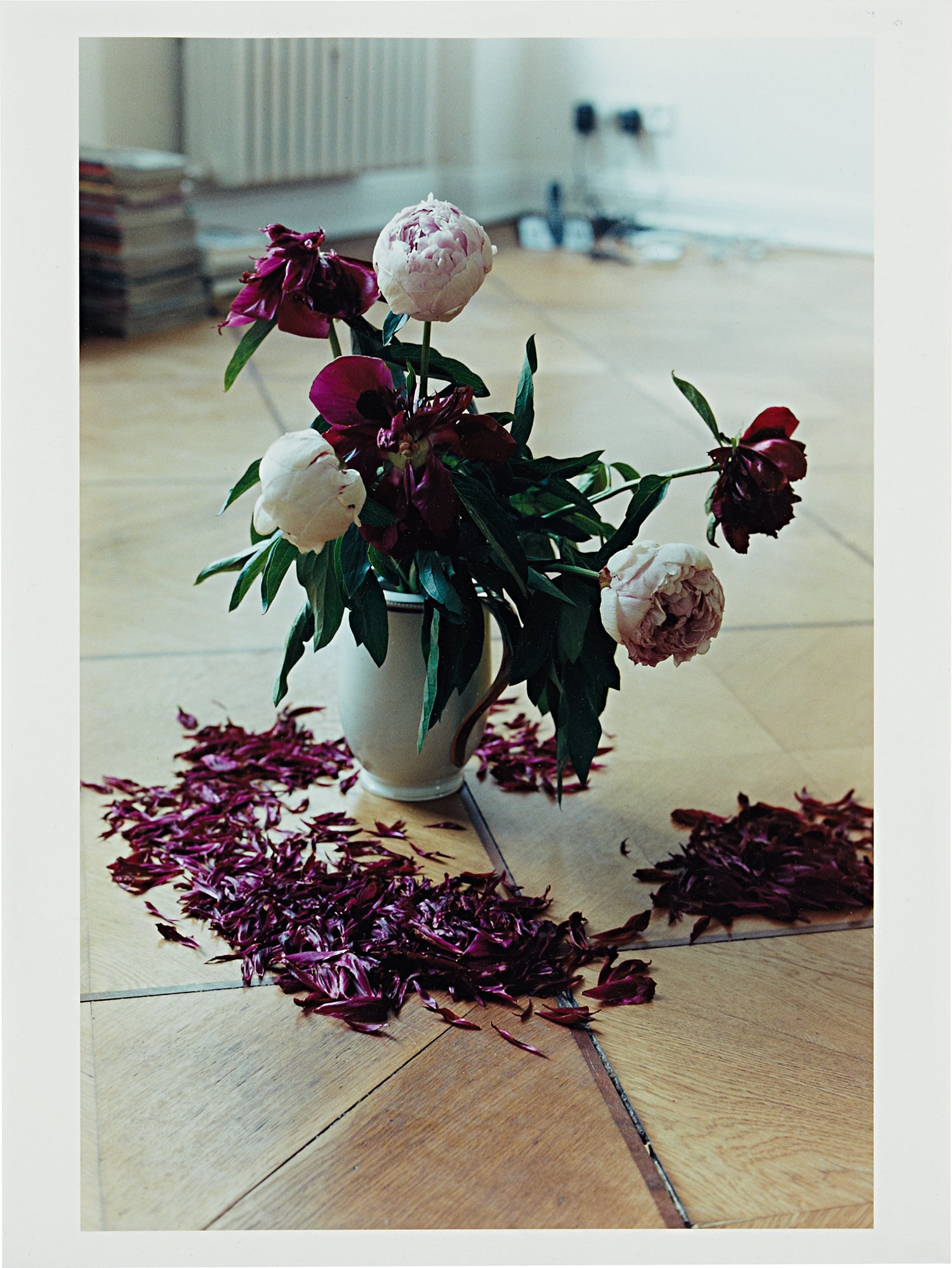 Wolfgang Tillmans 20th Century to Now