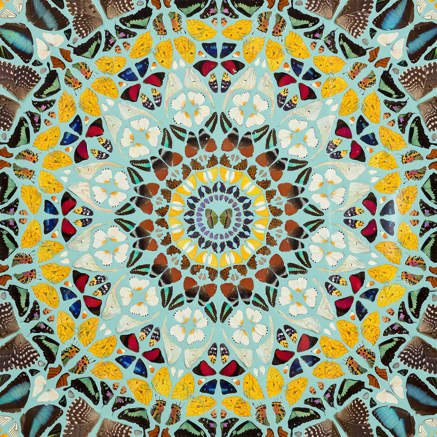 Damien Hirst Modern & Contemporary Art: Evening & Day Sale